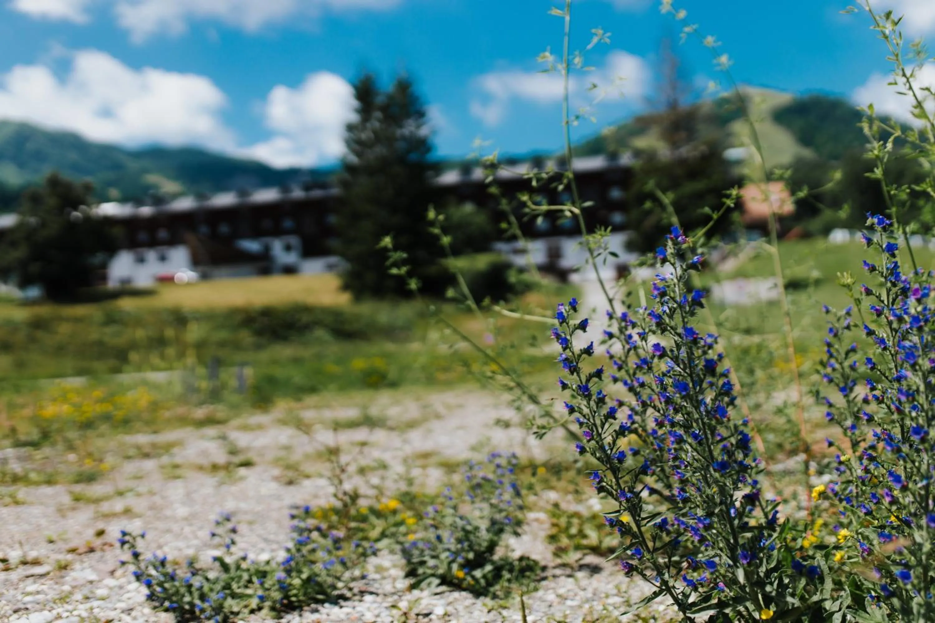 Property building in Hotel Enzo Moro