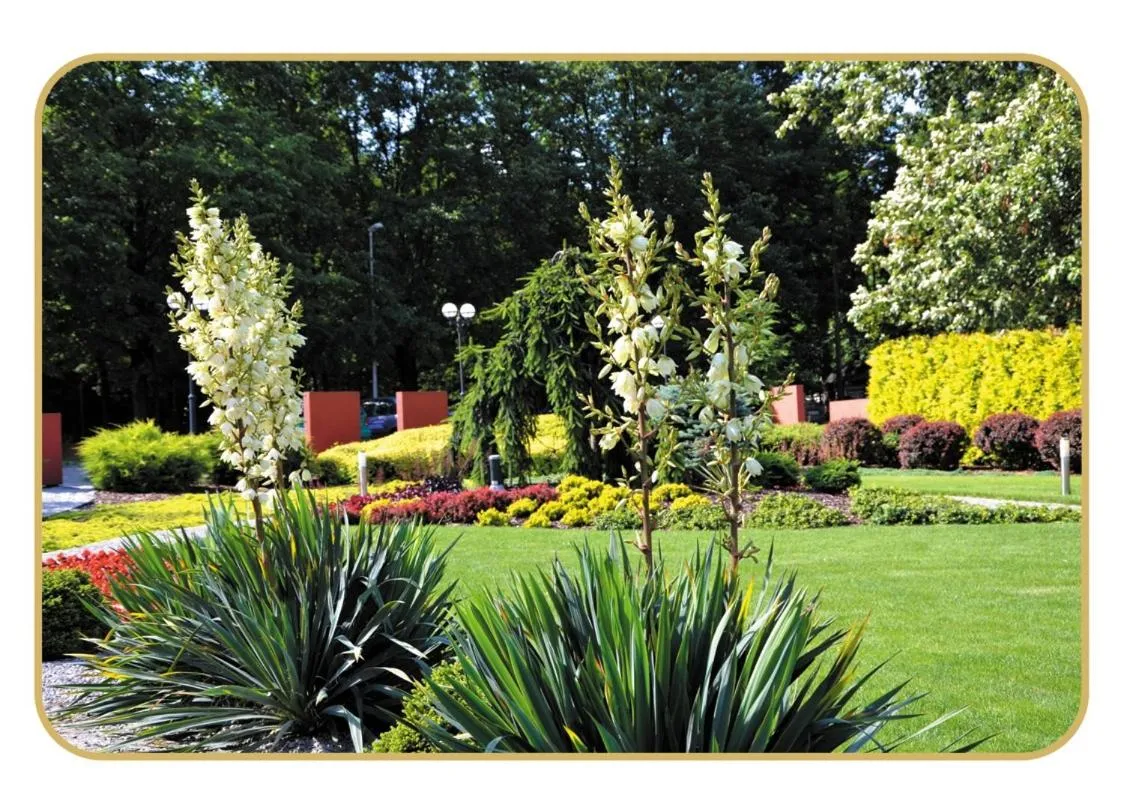 Garden in Agat Hotel