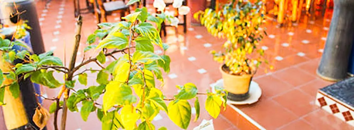 Patio in Jad Auberge