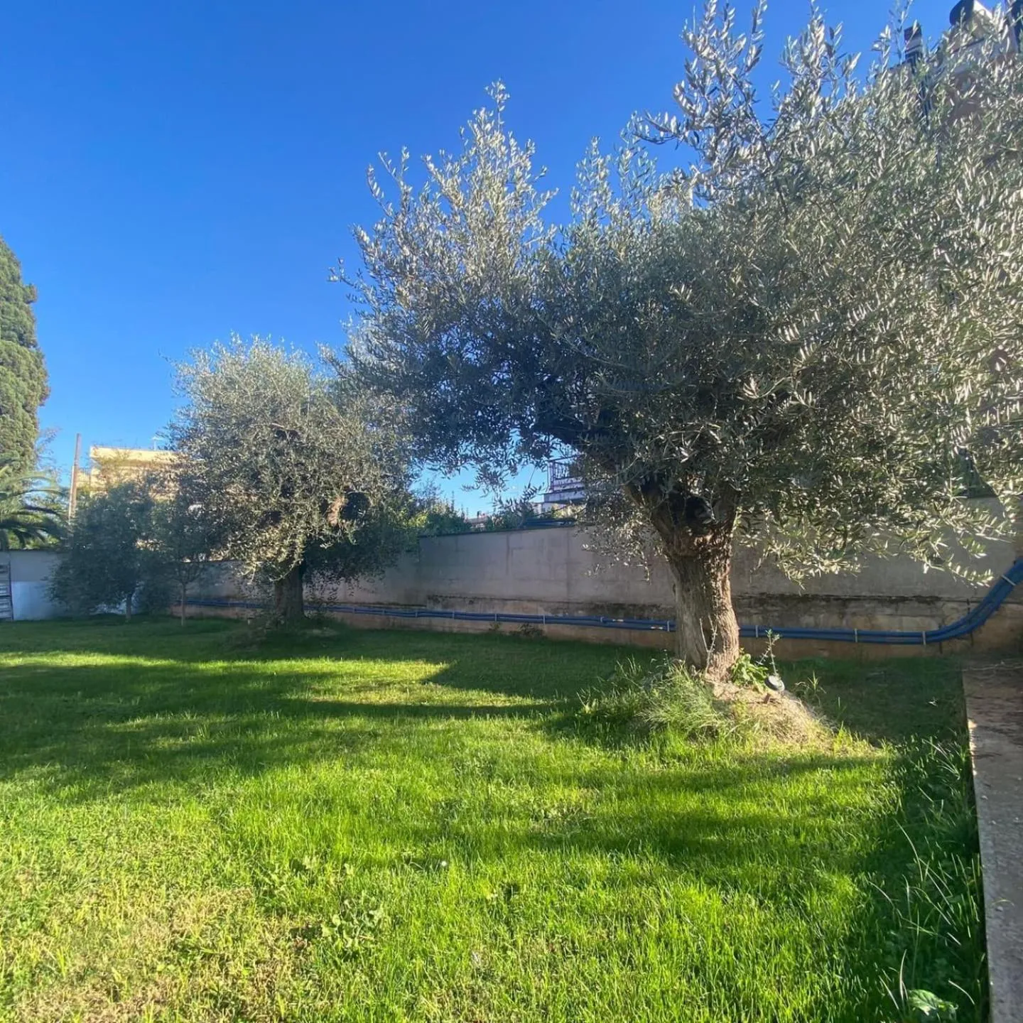 Garden in B&B Corvara