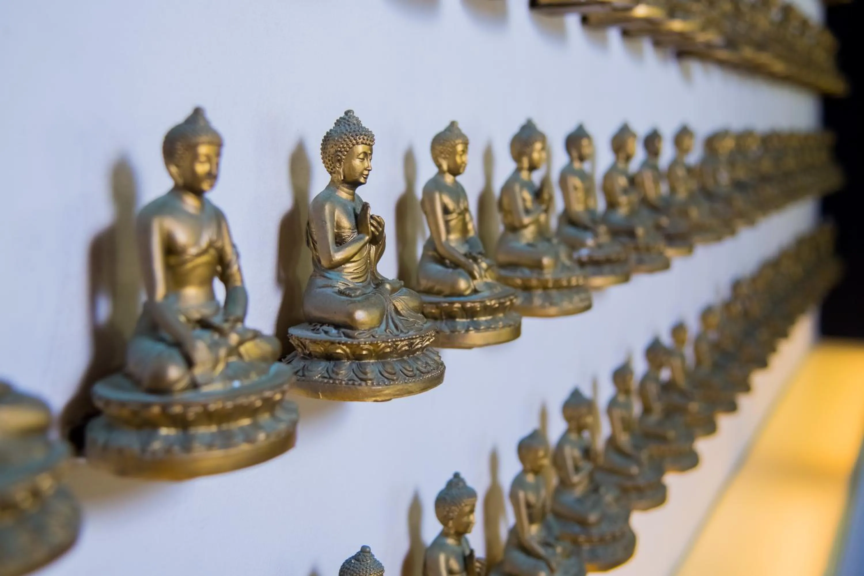 Restaurant/places to eat in Privilege Aluxes Adults Only