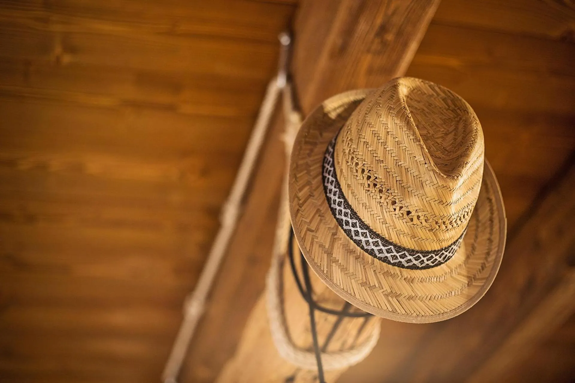 Decorative detail in Malga Laben