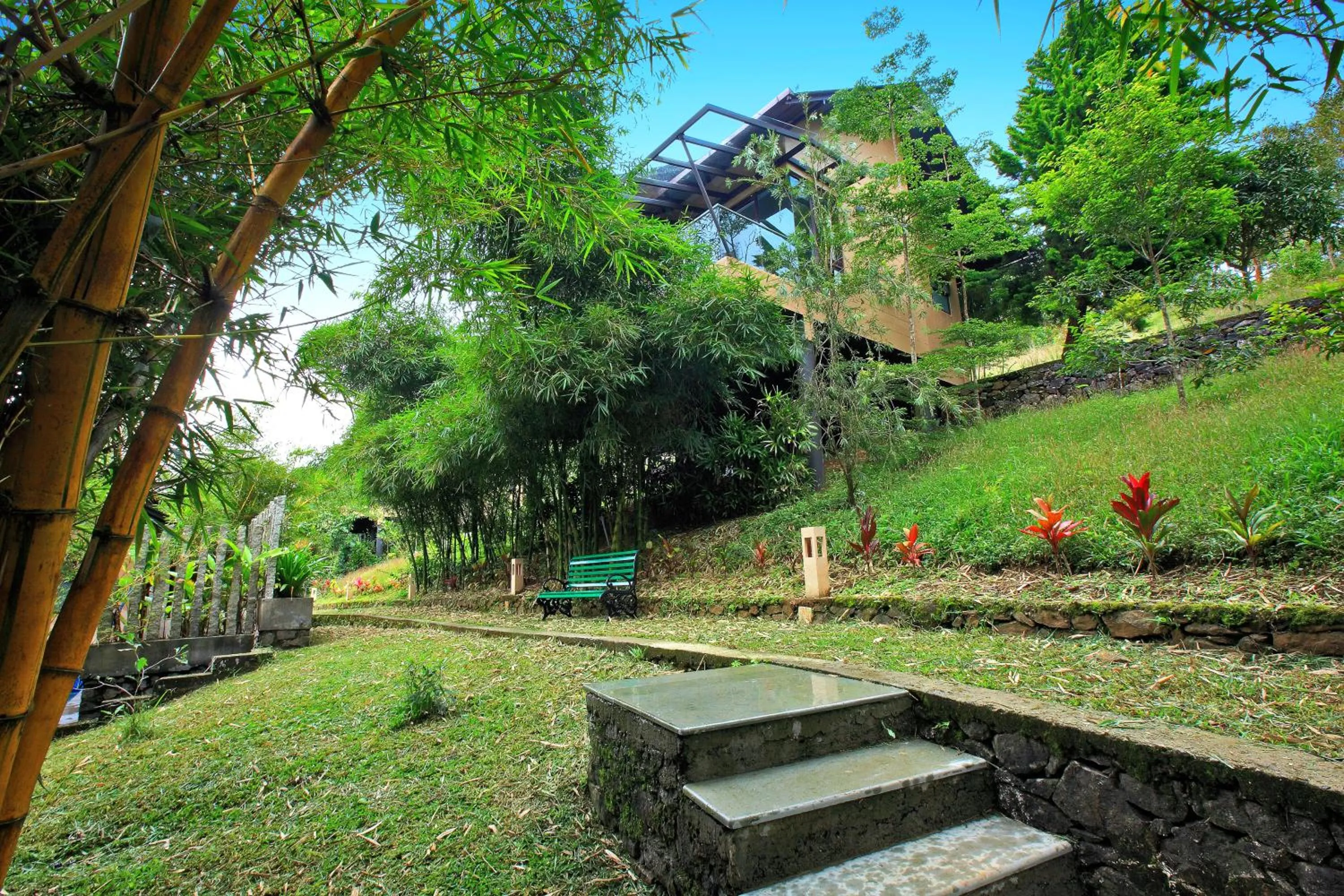 Other in Tea Terrain Resorts & Spa