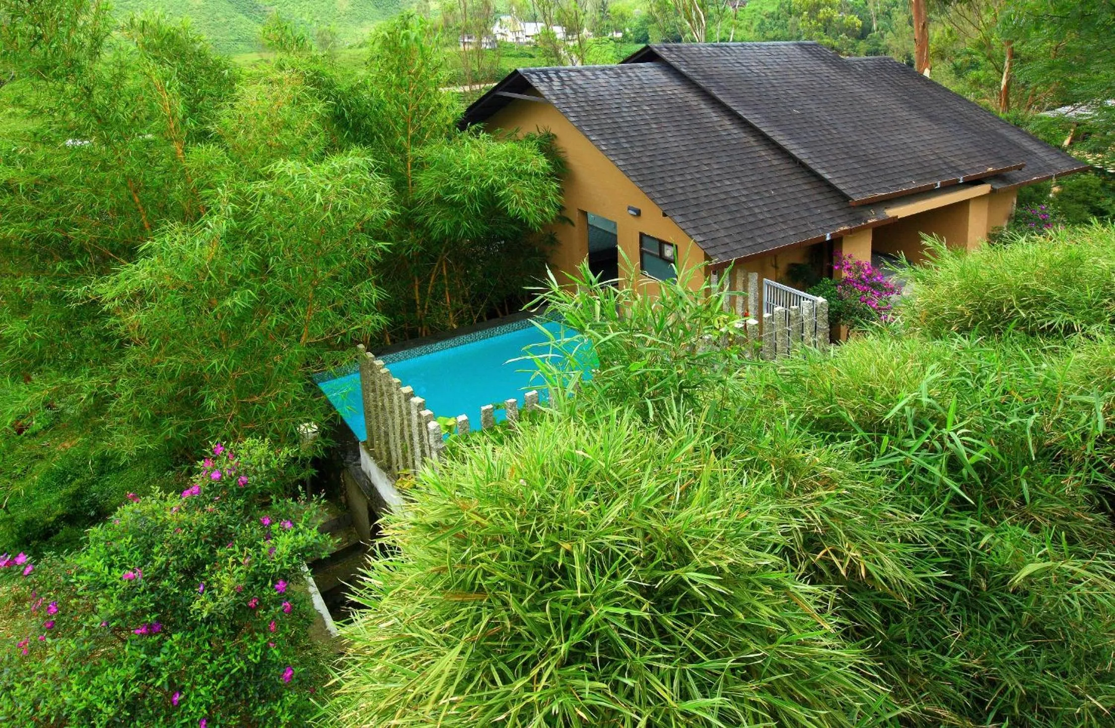 Garden view in Tea Terrain Resorts & Spa