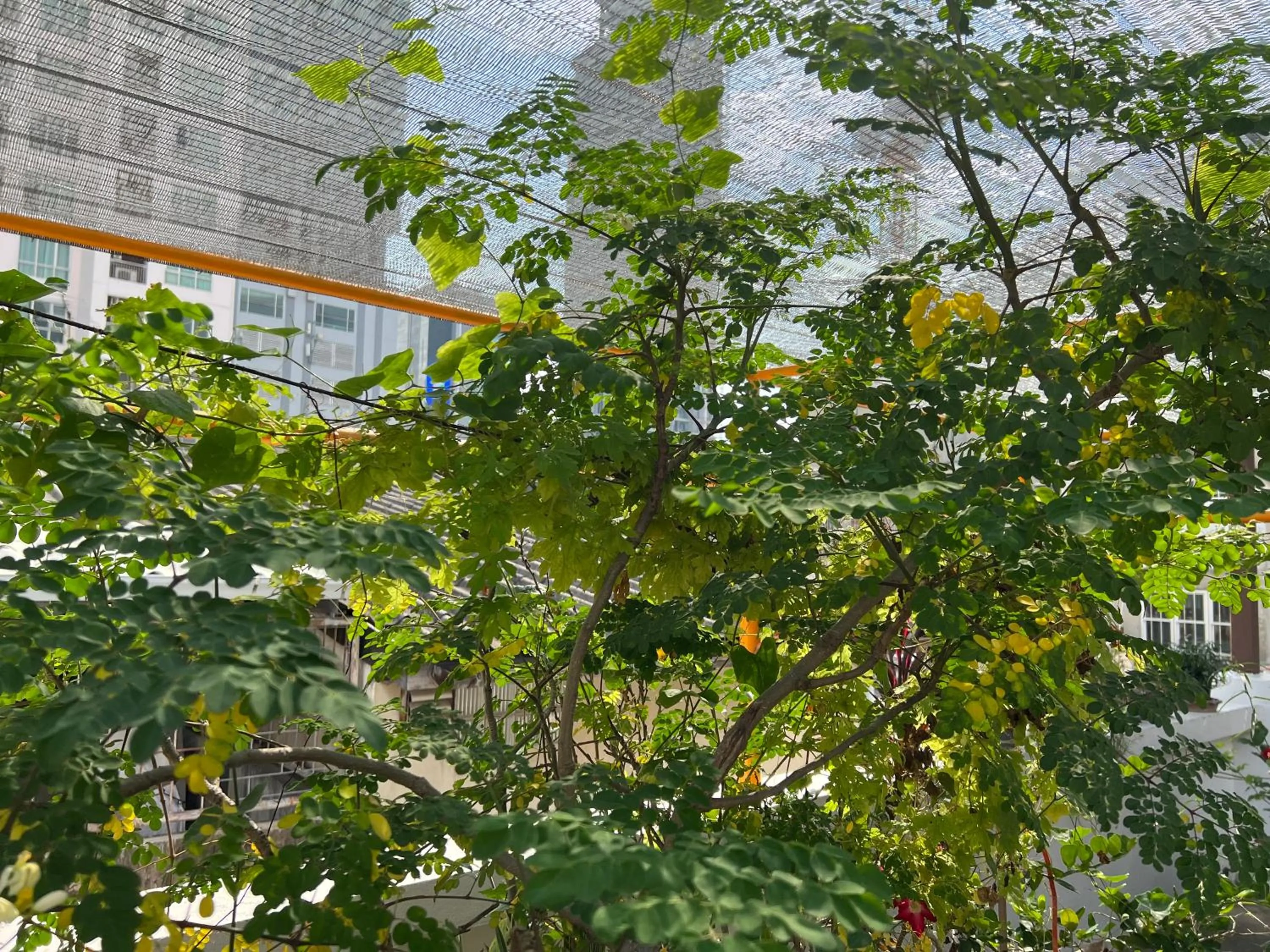 Balcony/Terrace in Niagara Hotel