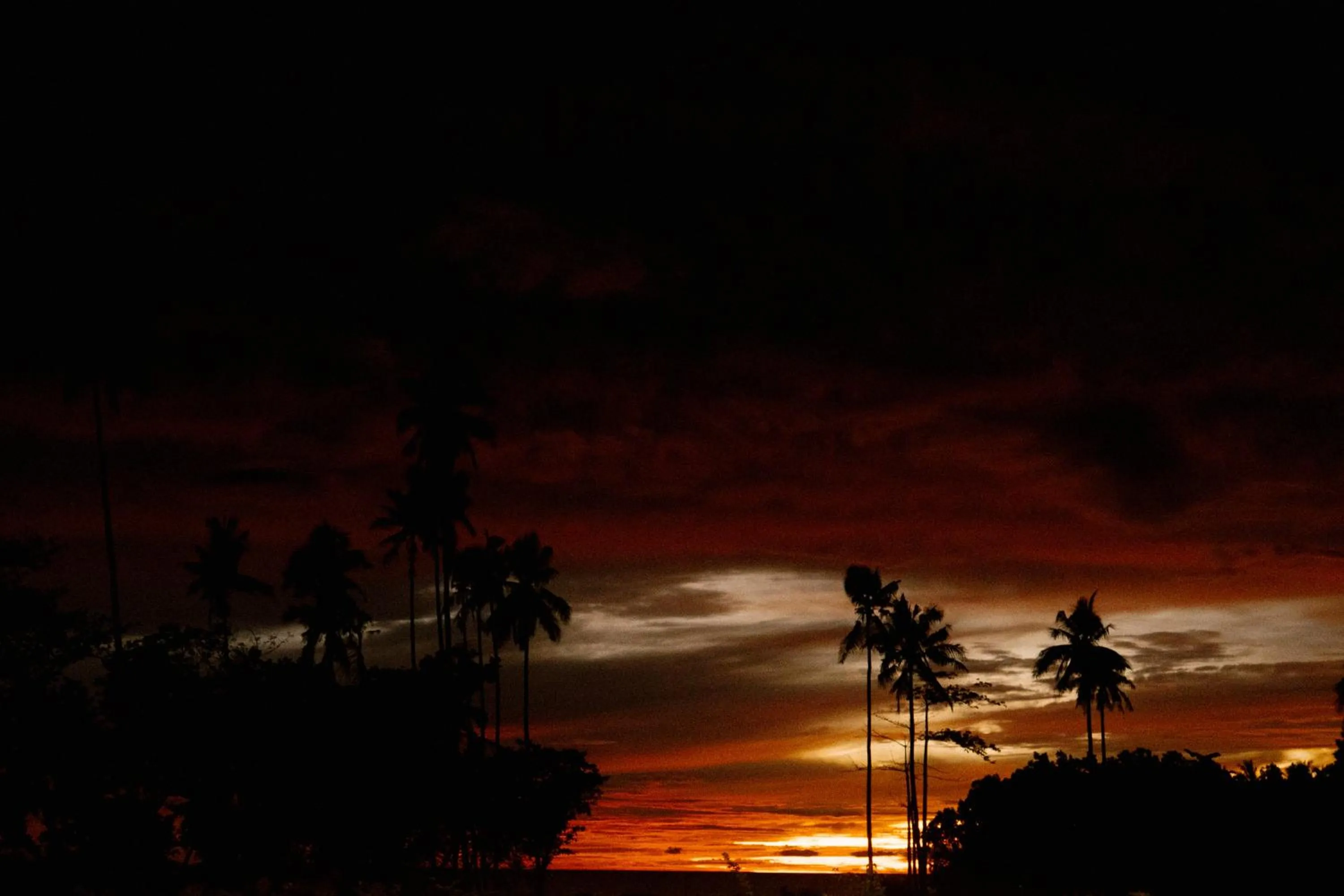 Natural landscape in Tahuna Beach Hotel and Resort