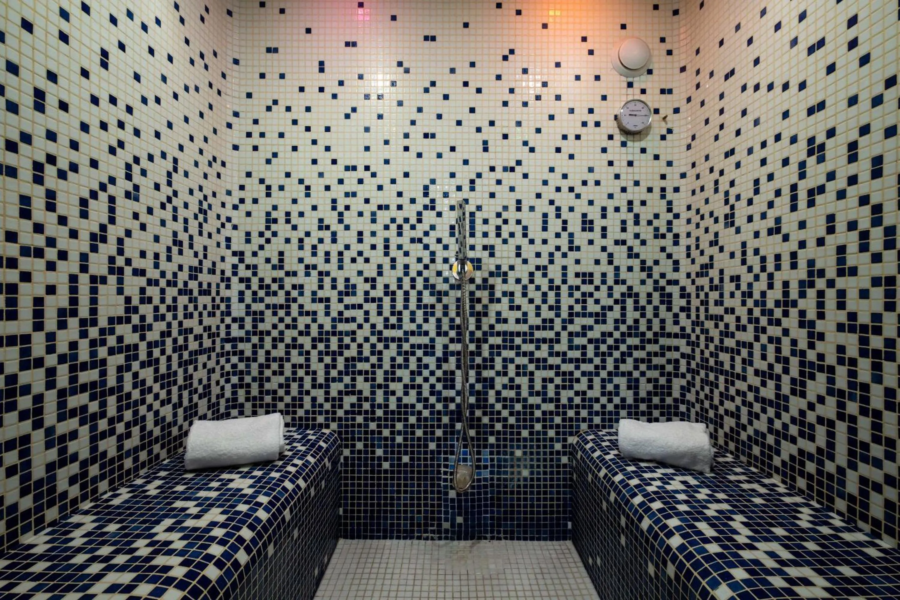 Steam room, Bed in Clarion Aparthotel Toulouse Blagnac Airport