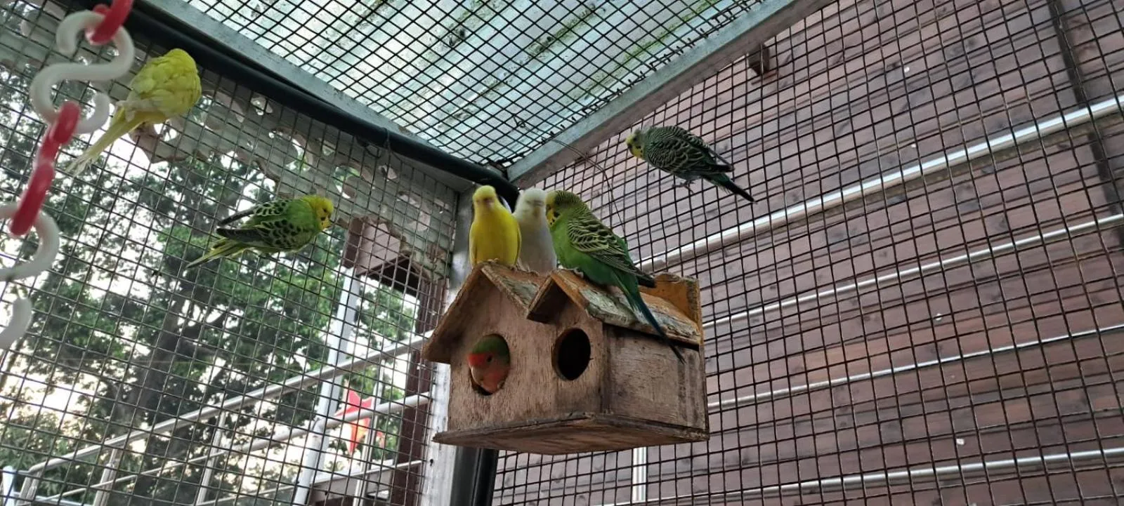 Property building in Coastal Bay Inn by Green Apple Stays