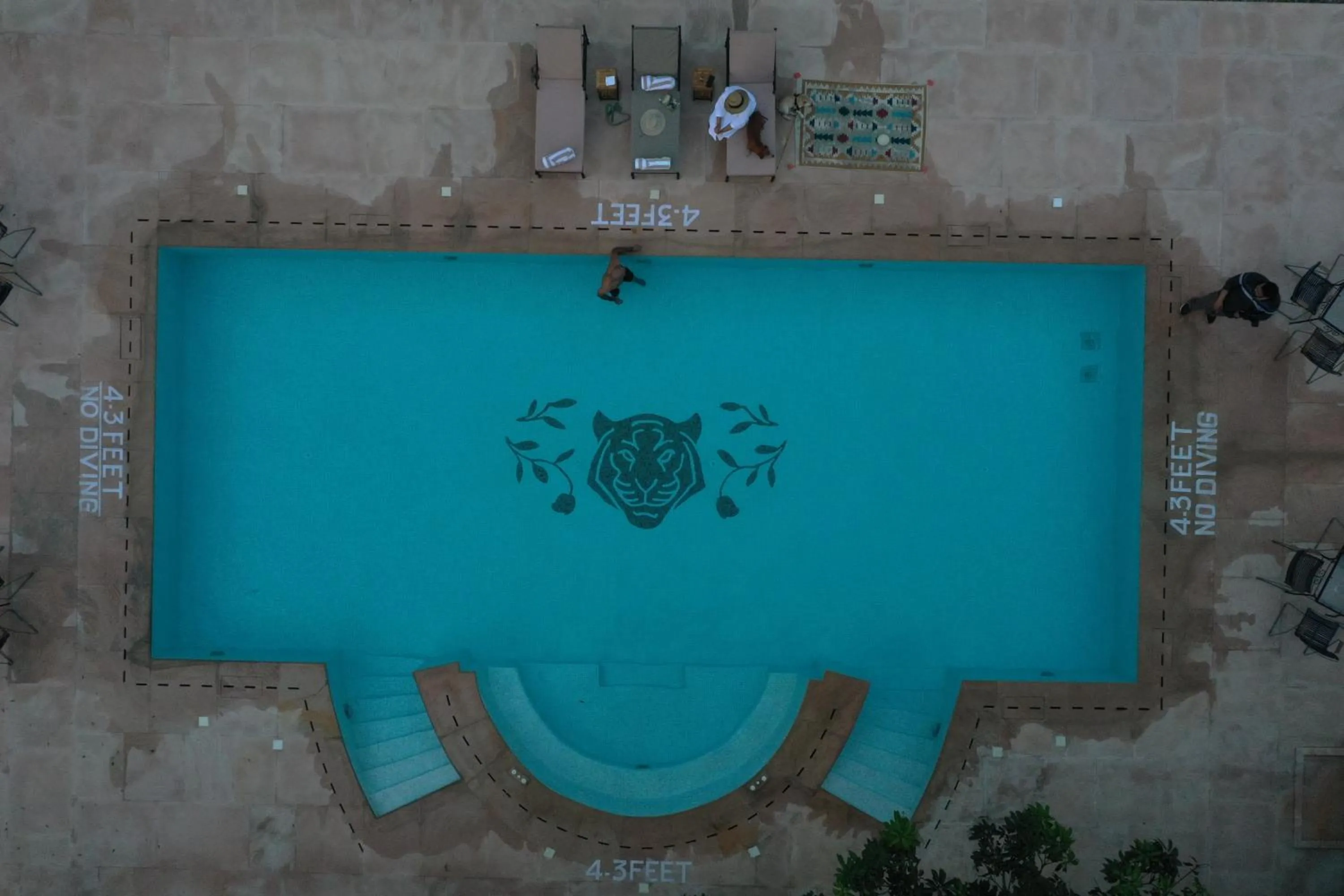 Swimming pool in Aalia Jungle Retreat and Spa, Bandarjudh, Haridwar - Araiya Anthology