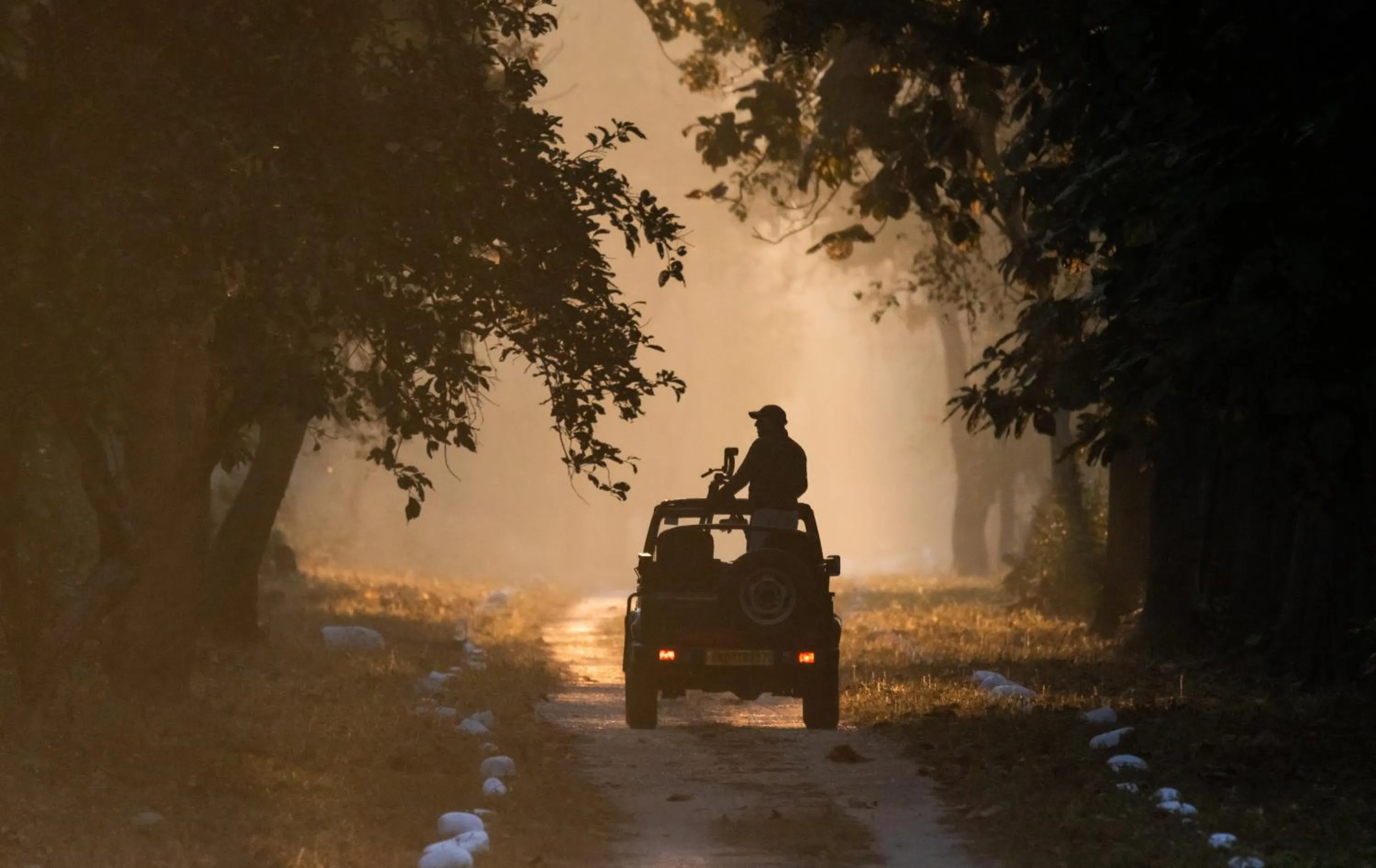 Natural landscape in Aalia Jungle Retreat and Spa, Bandarjudh, Haridwar - Araiya Anthology