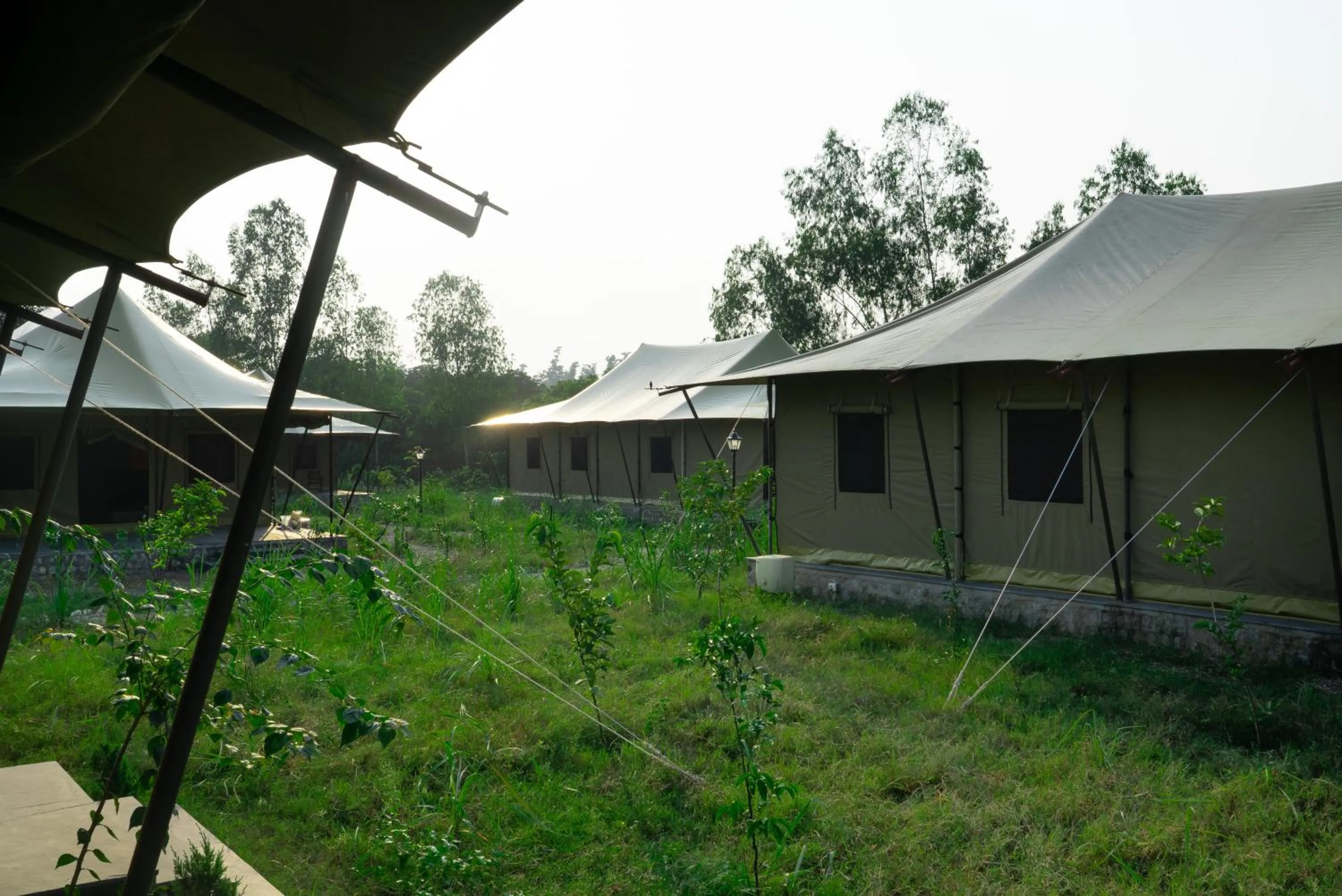 Garden in Aalia Jungle Retreat and Spa, Bandarjudh, Haridwar - Araiya Anthology