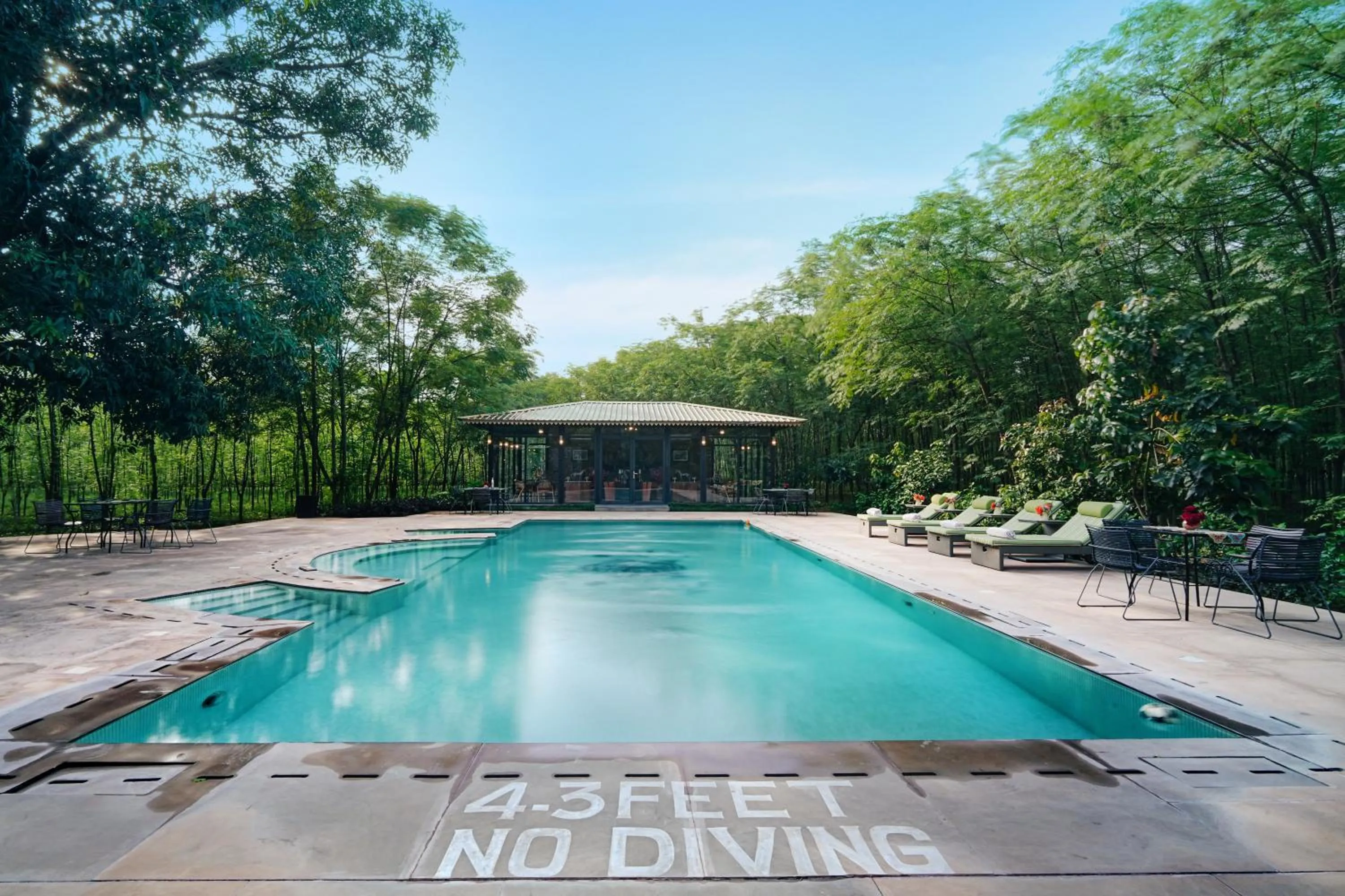 Swimming pool in Aalia Jungle Retreat and Spa, Bandarjudh, Haridwar - Araiya Anthology