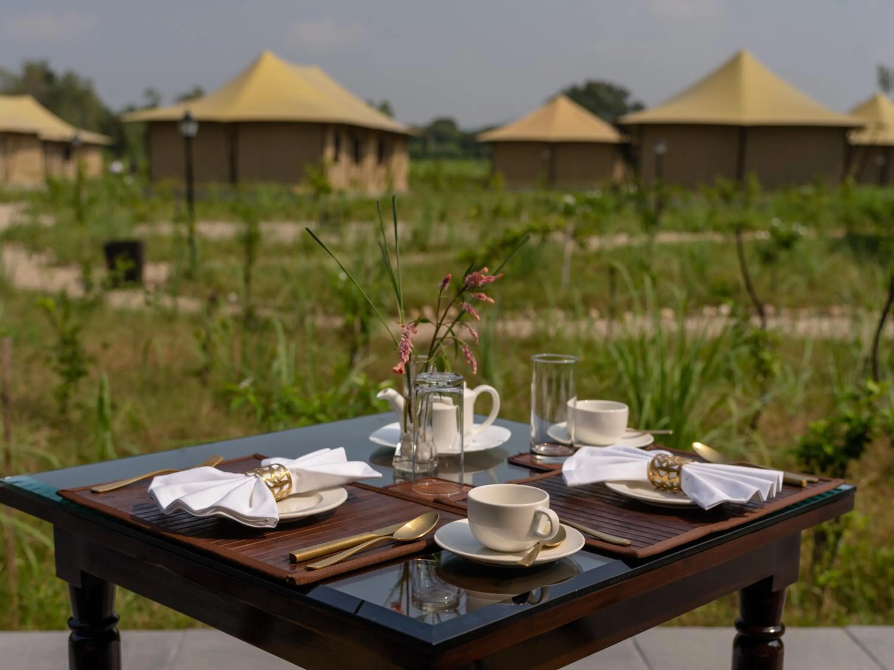 Restaurant/places to eat in Aalia Jungle Retreat and Spa, Bandarjudh, Haridwar - Araiya Anthology