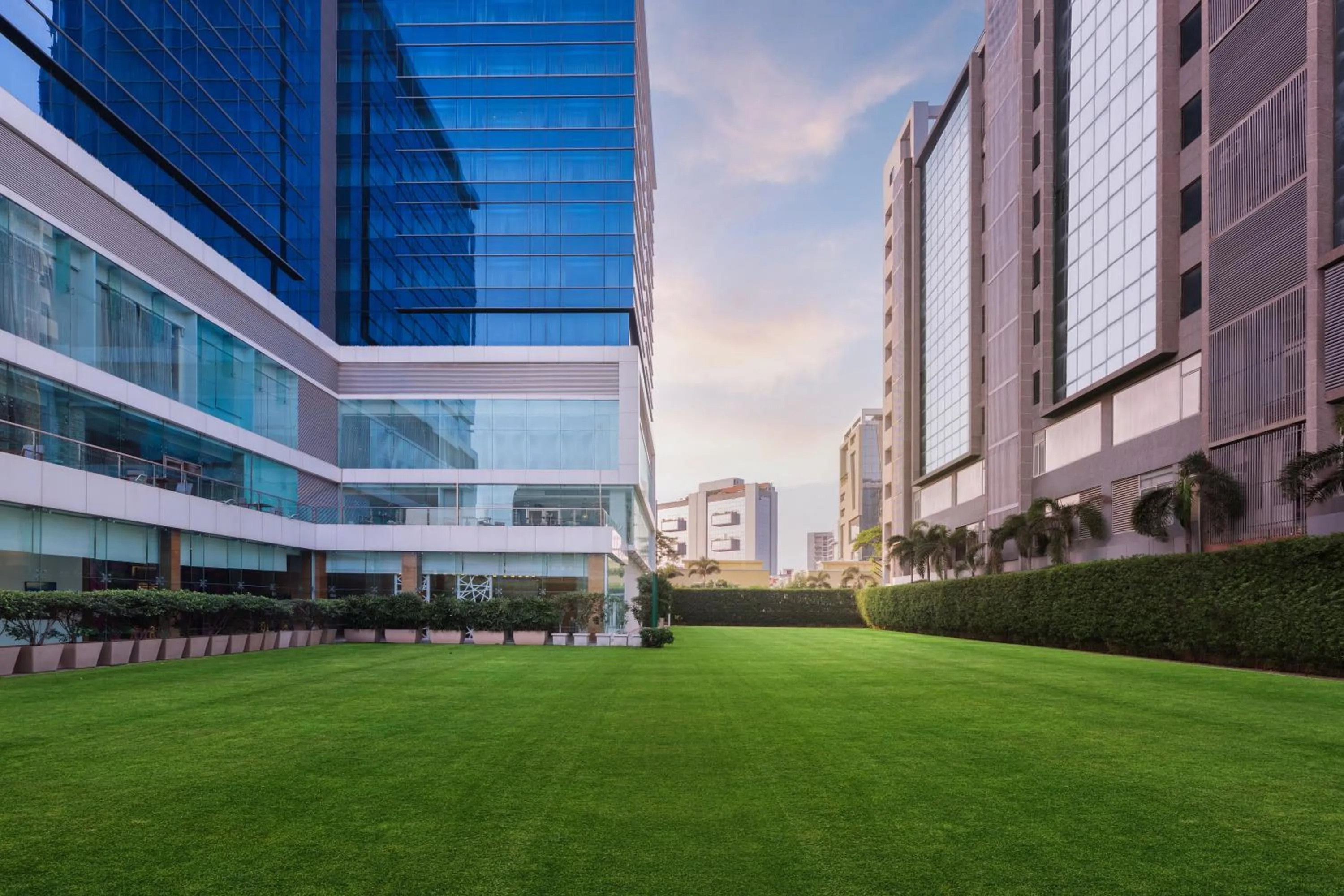 Garden in Renaissance Ahmedabad Hotel