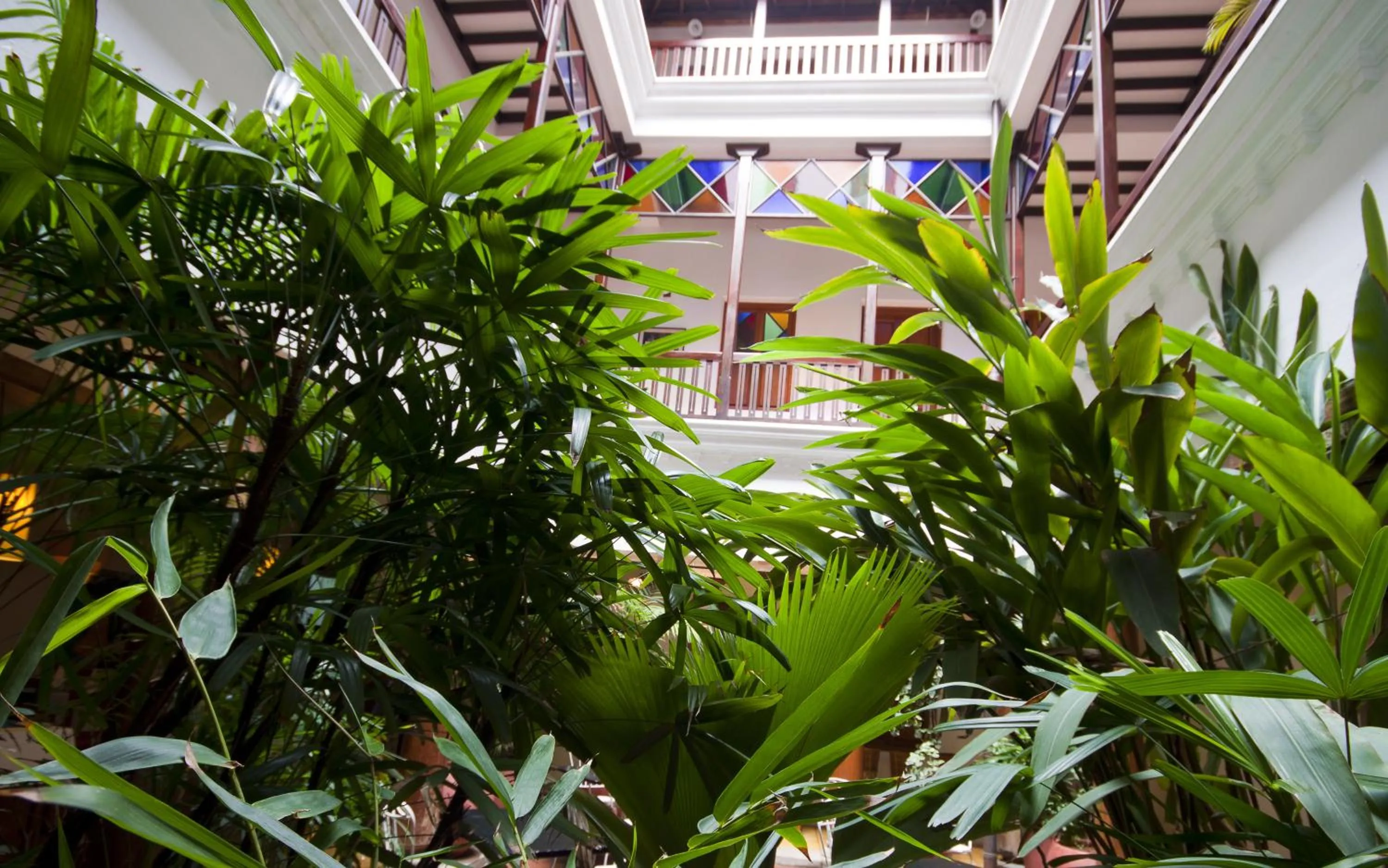 Garden view in Maison Perumal Pondicherry - A CGH Earth Experience