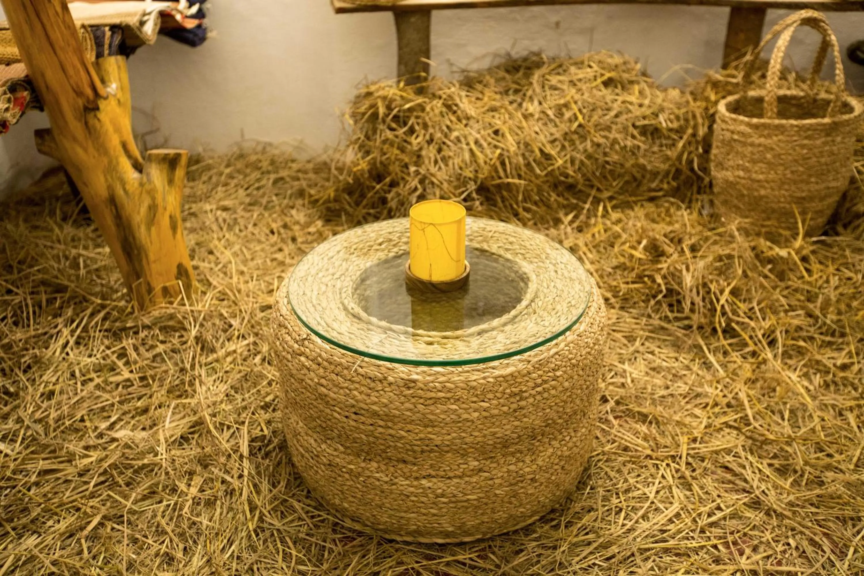 Activities in Maison Perumal Pondicherry - A CGH Earth Experience