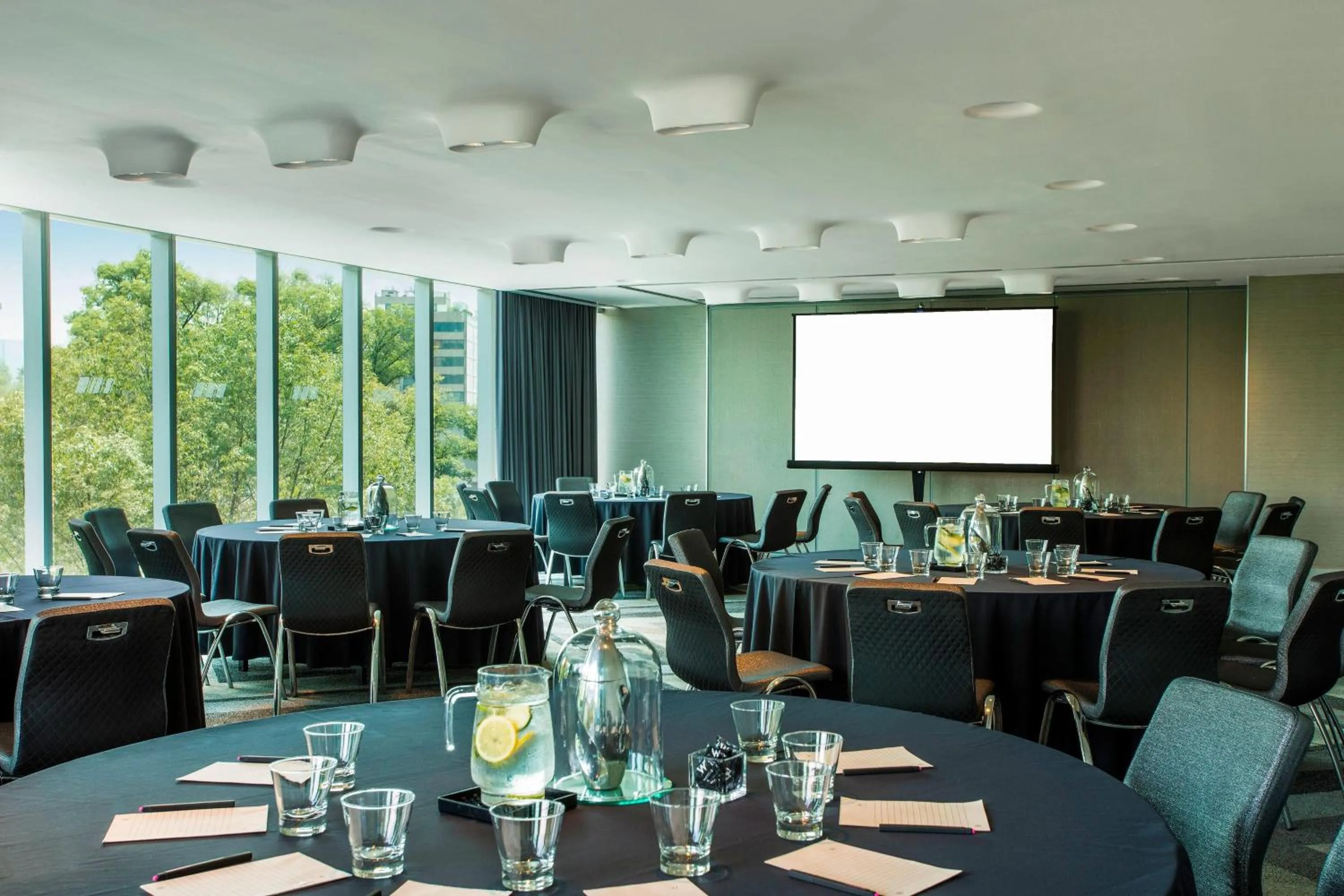 Meeting/conference room in W Mexico City