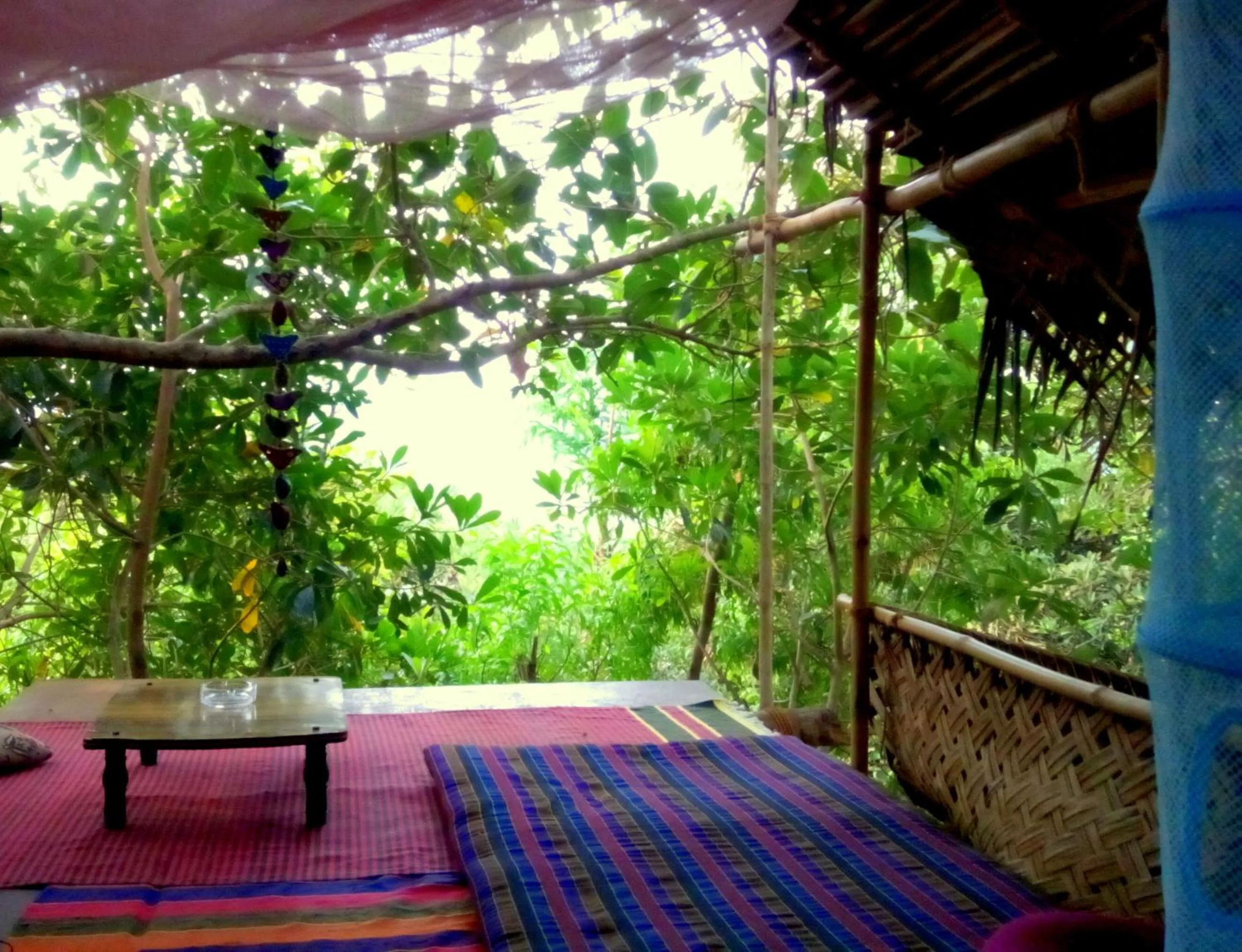 Photo of the whole room in Namaste Yoga Farm