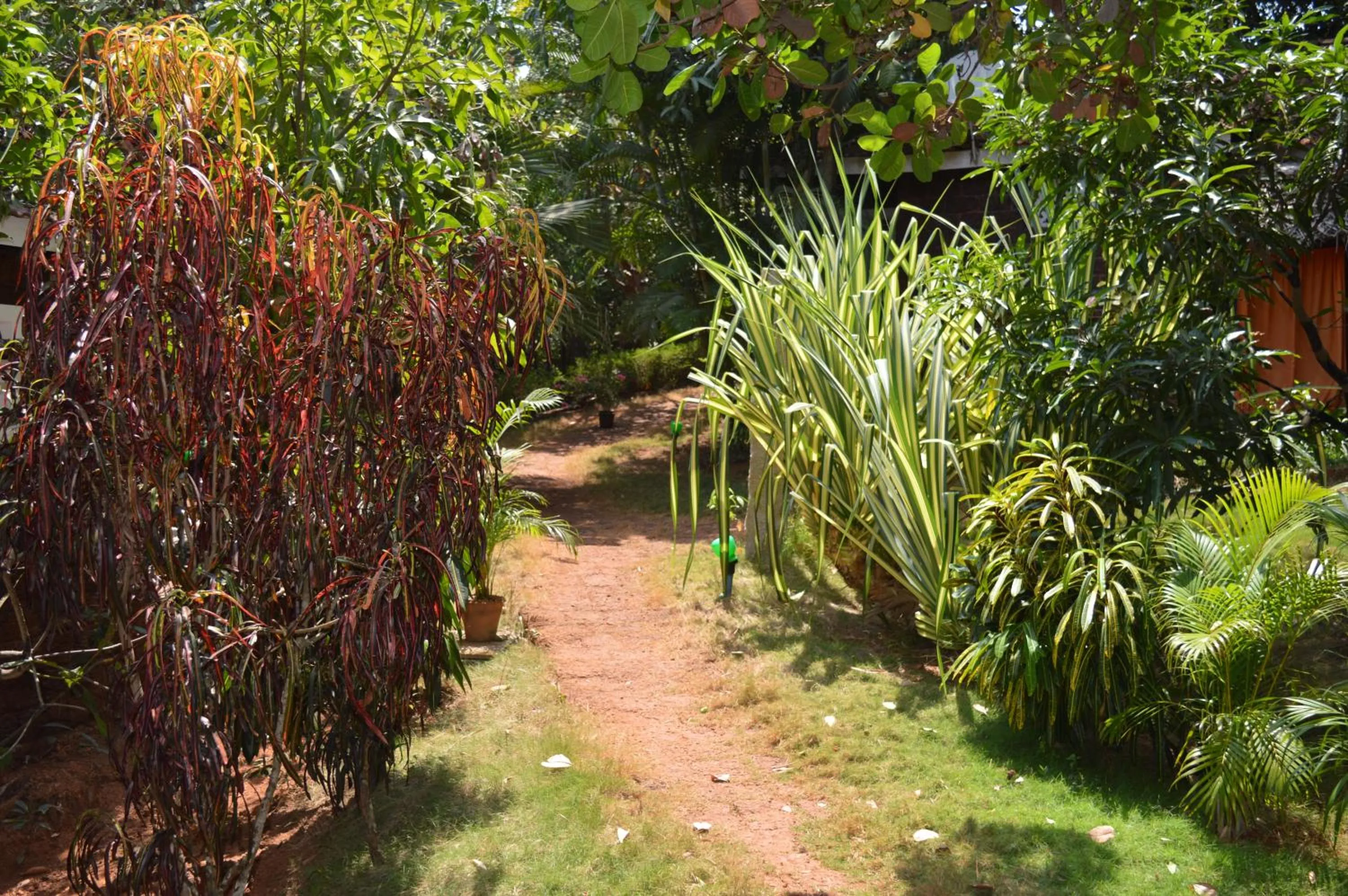 Garden in Namaste Yoga Farm