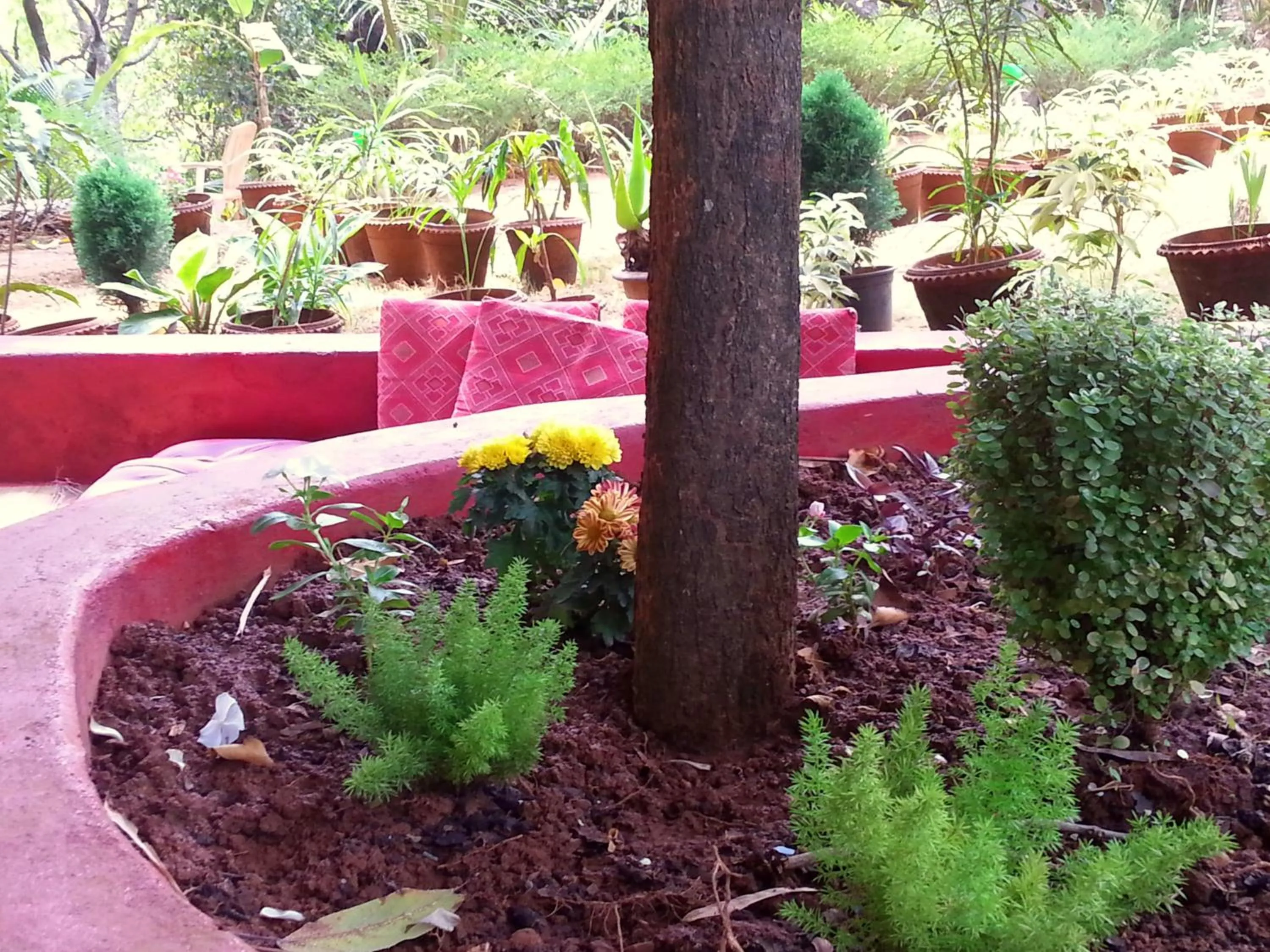 Garden in Namaste Yoga Farm
