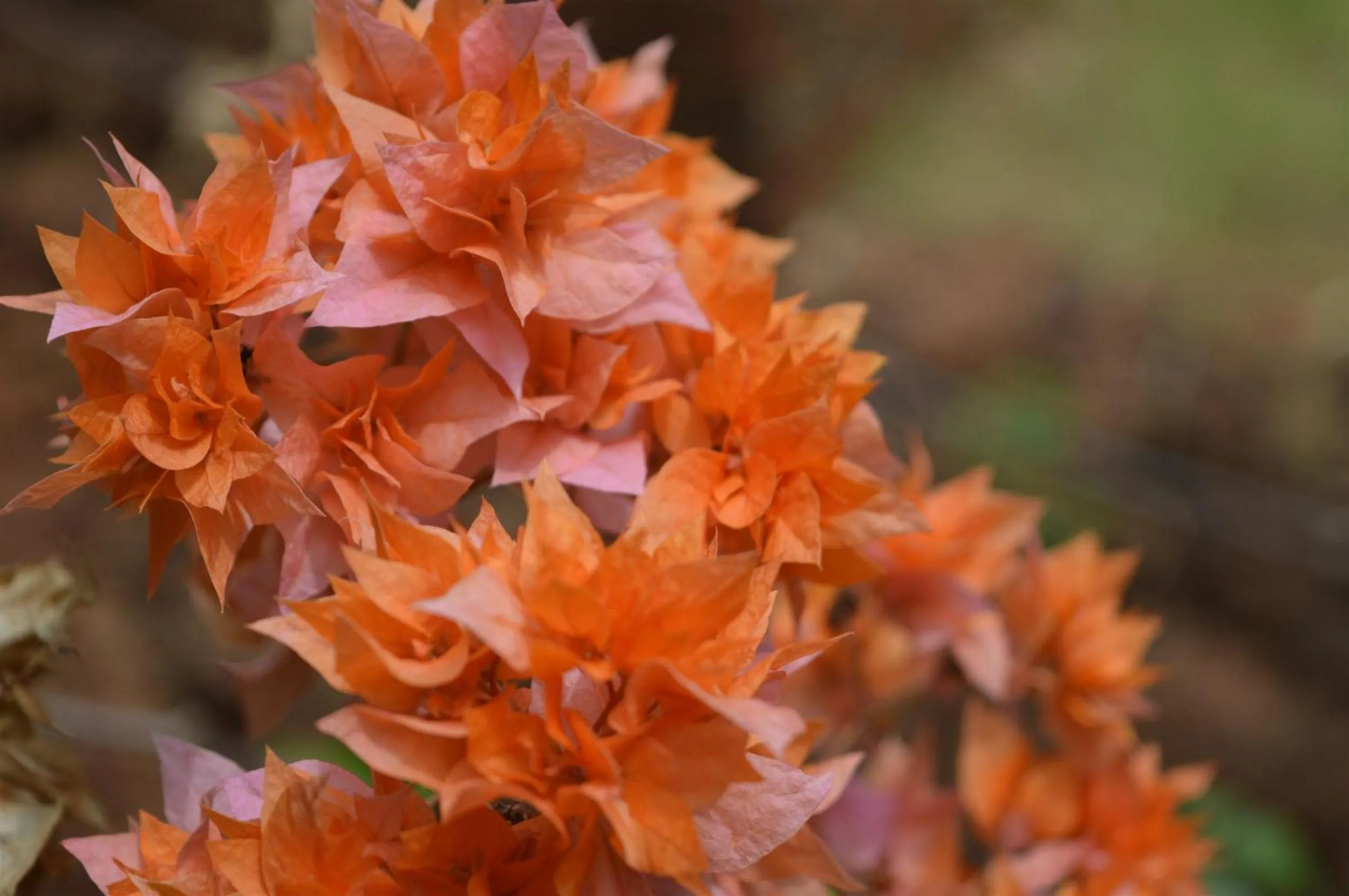 On site in Namaste Yoga Farm