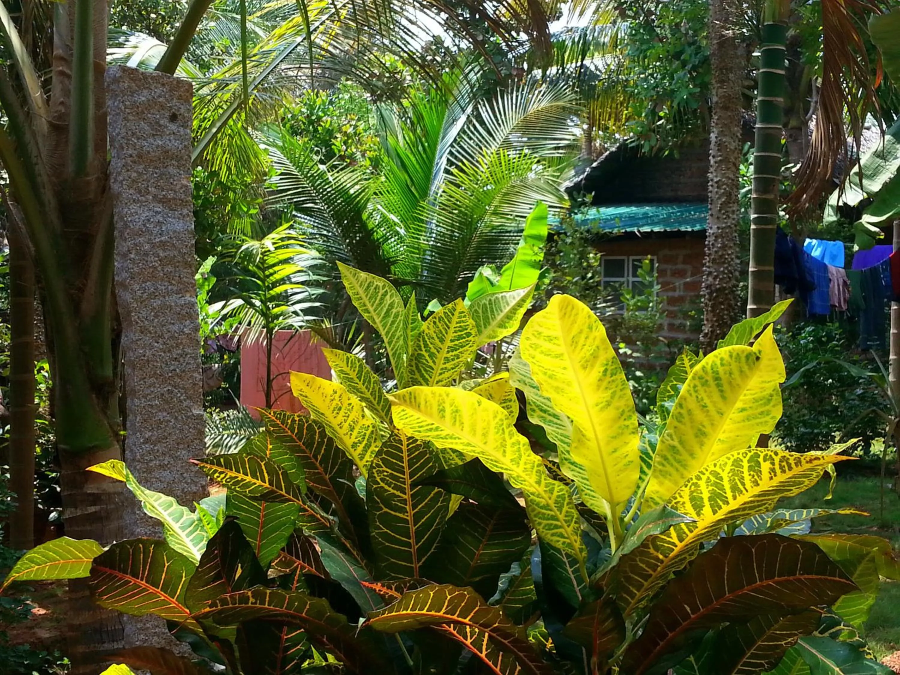 Garden in Namaste Yoga Farm