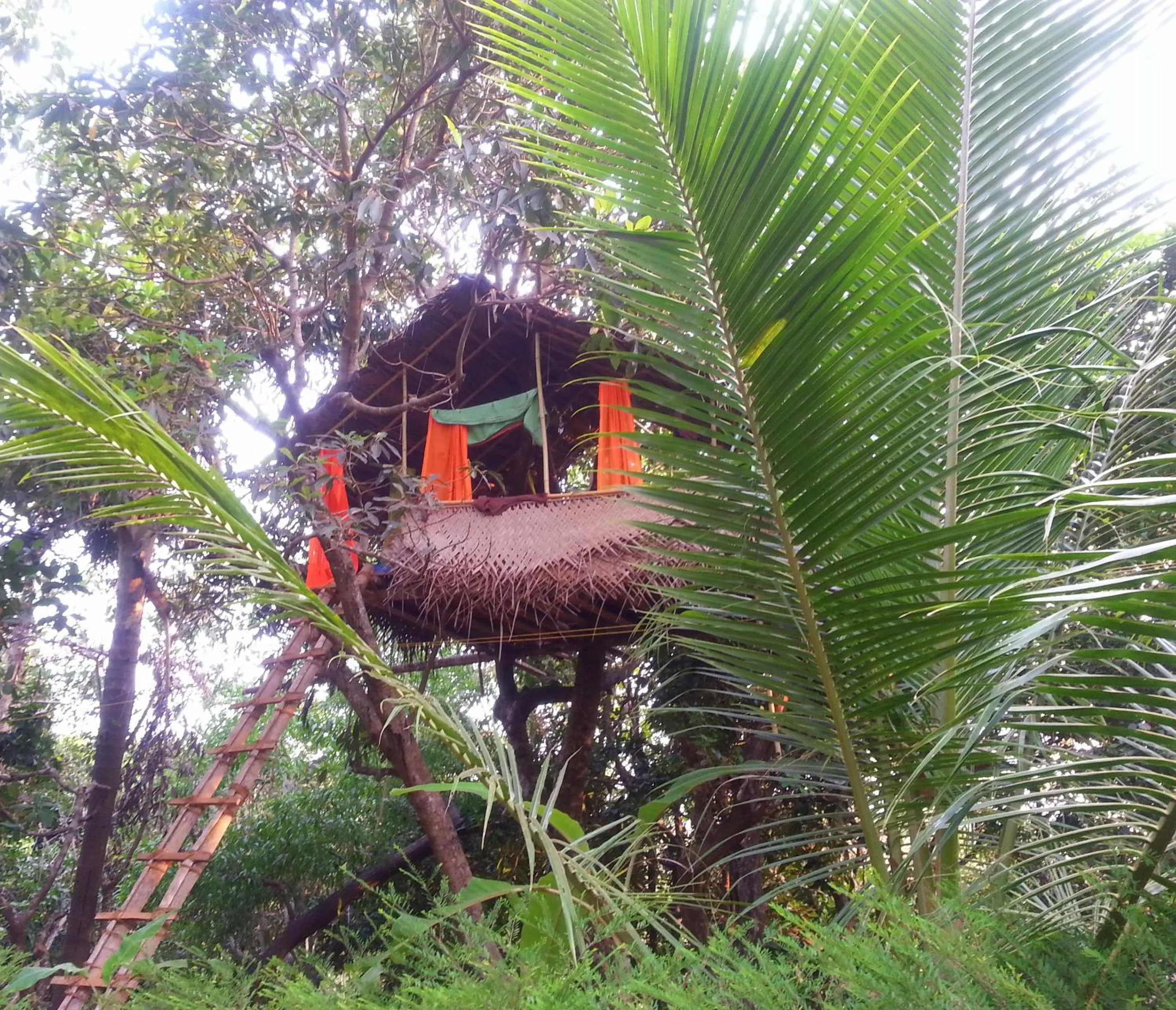 Photo of the whole room in Namaste Yoga Farm