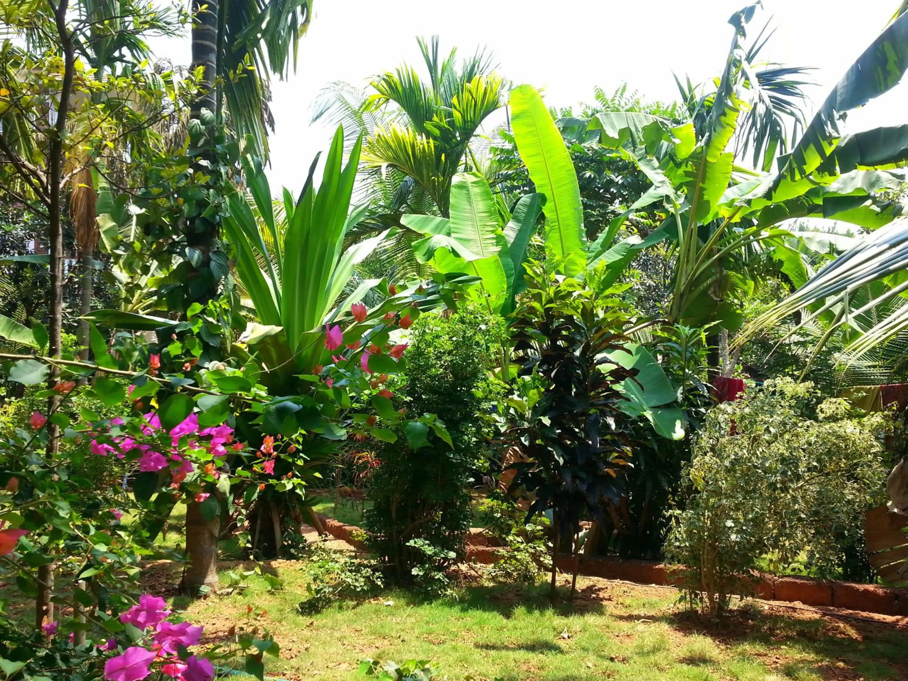 Garden in Namaste Yoga Farm