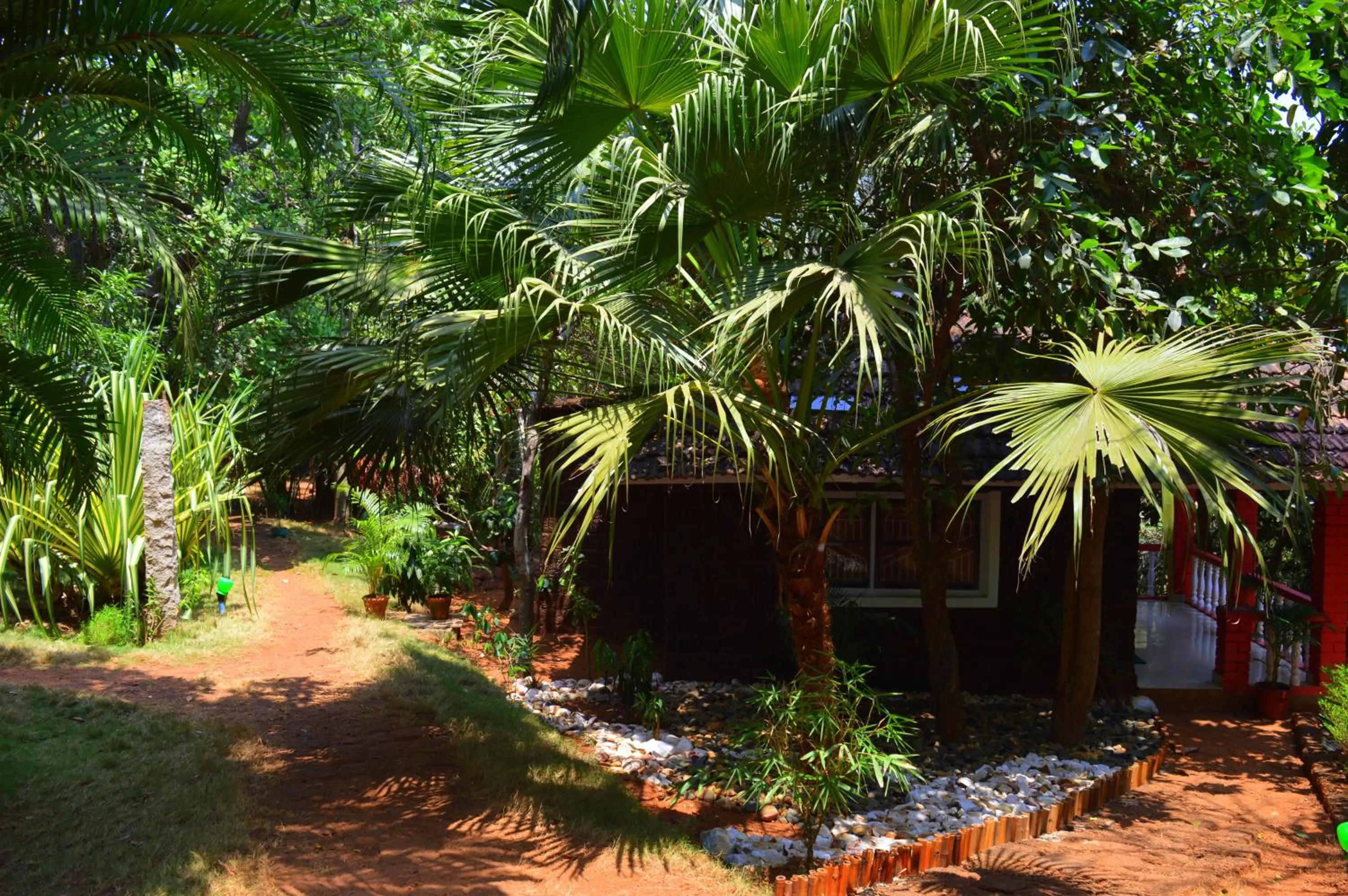 Garden in Namaste Yoga Farm