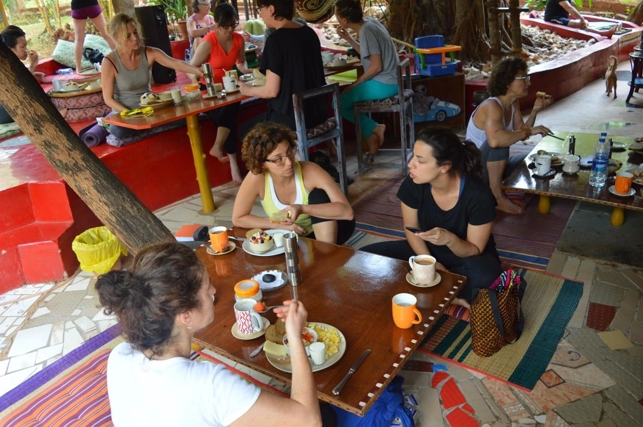 Restaurant/places to eat in Namaste Yoga Farm