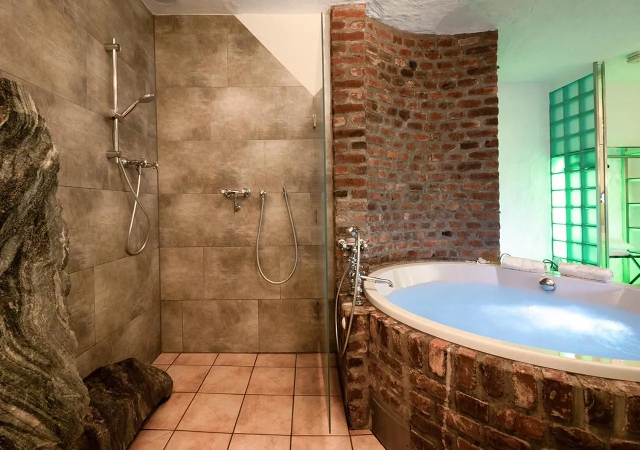 Shower in Hotel Land Gut Höhne