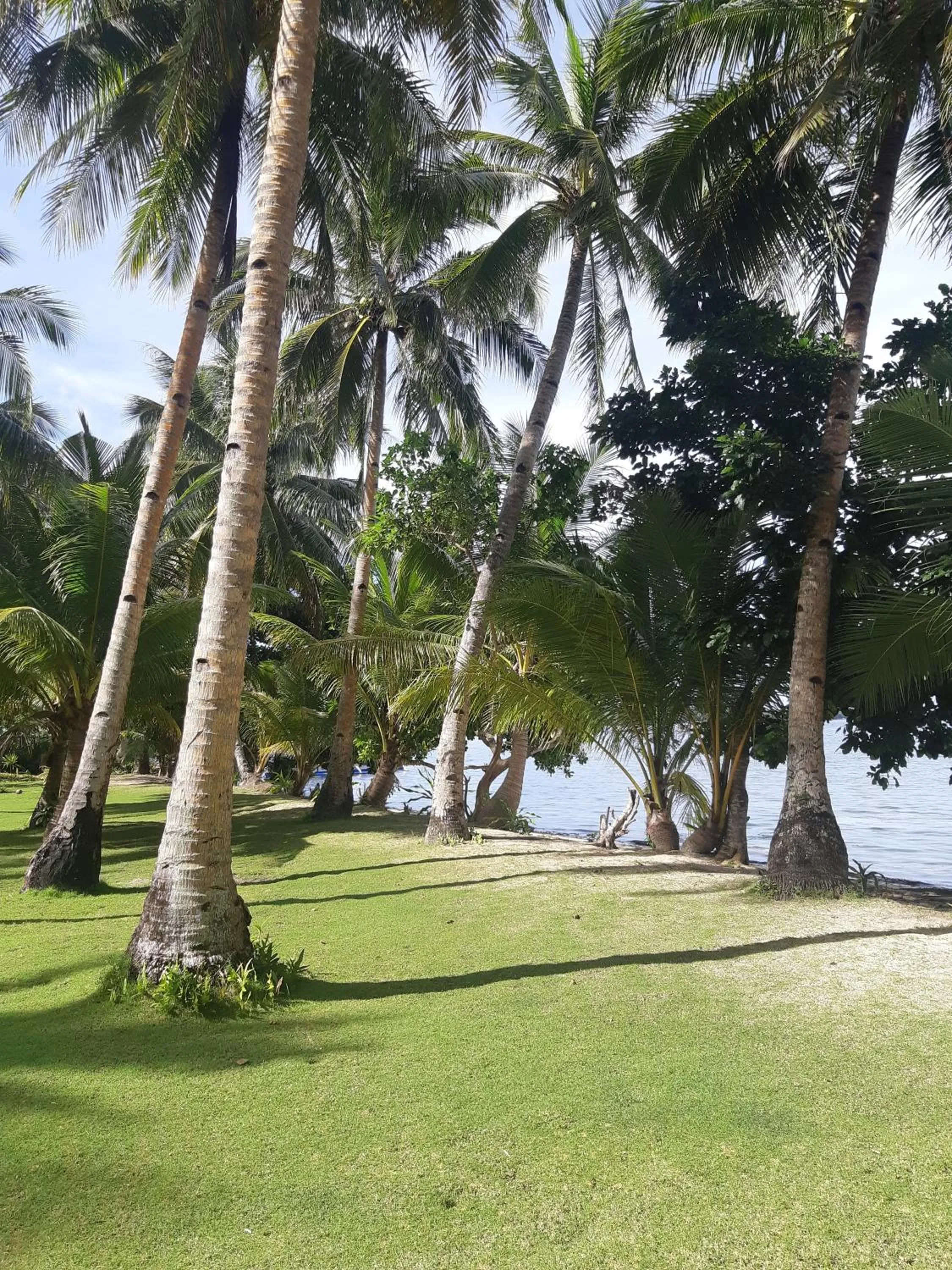 Garden in Lagkaw Siargao Villas