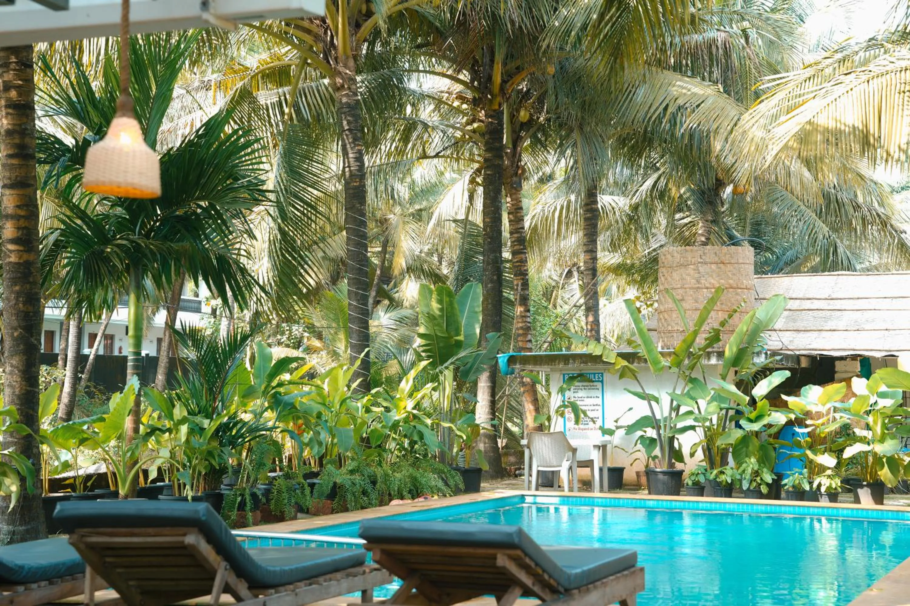 Garden view in North39