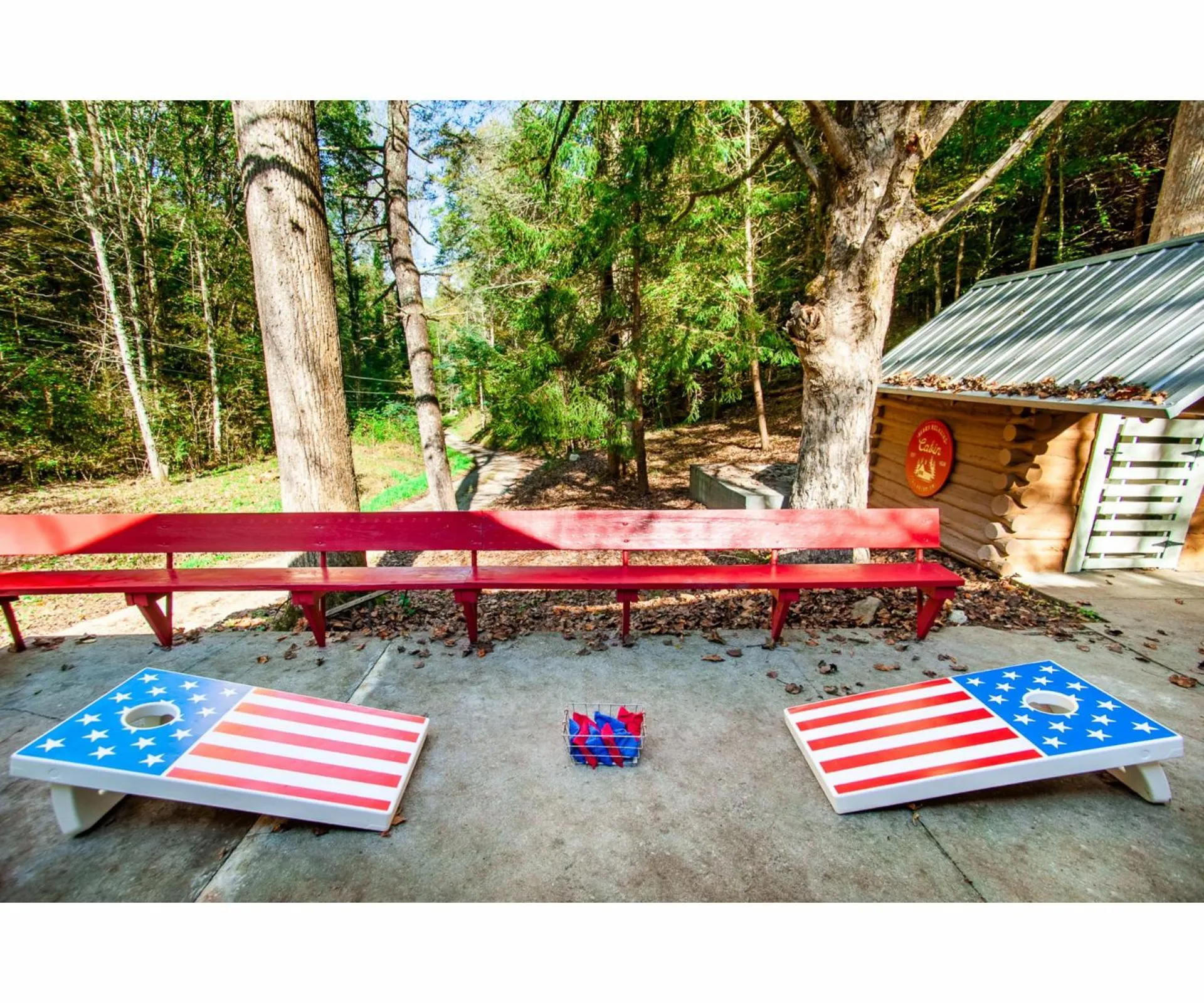 Other in Beary Relaxing Cabin - Rustic with Outdoor Patio