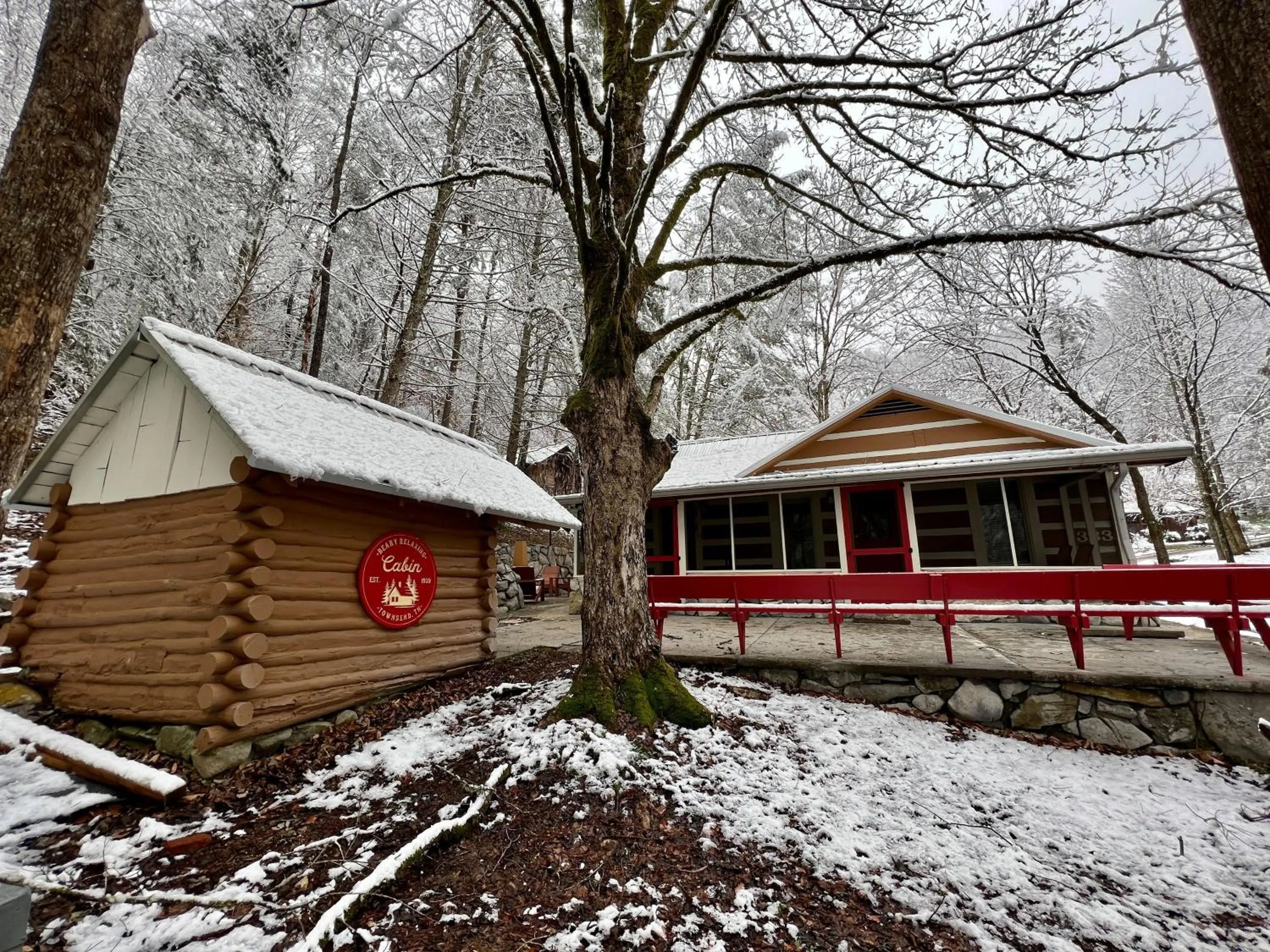 Beary Relaxing Cabin - Rustic with Outdoor Patio