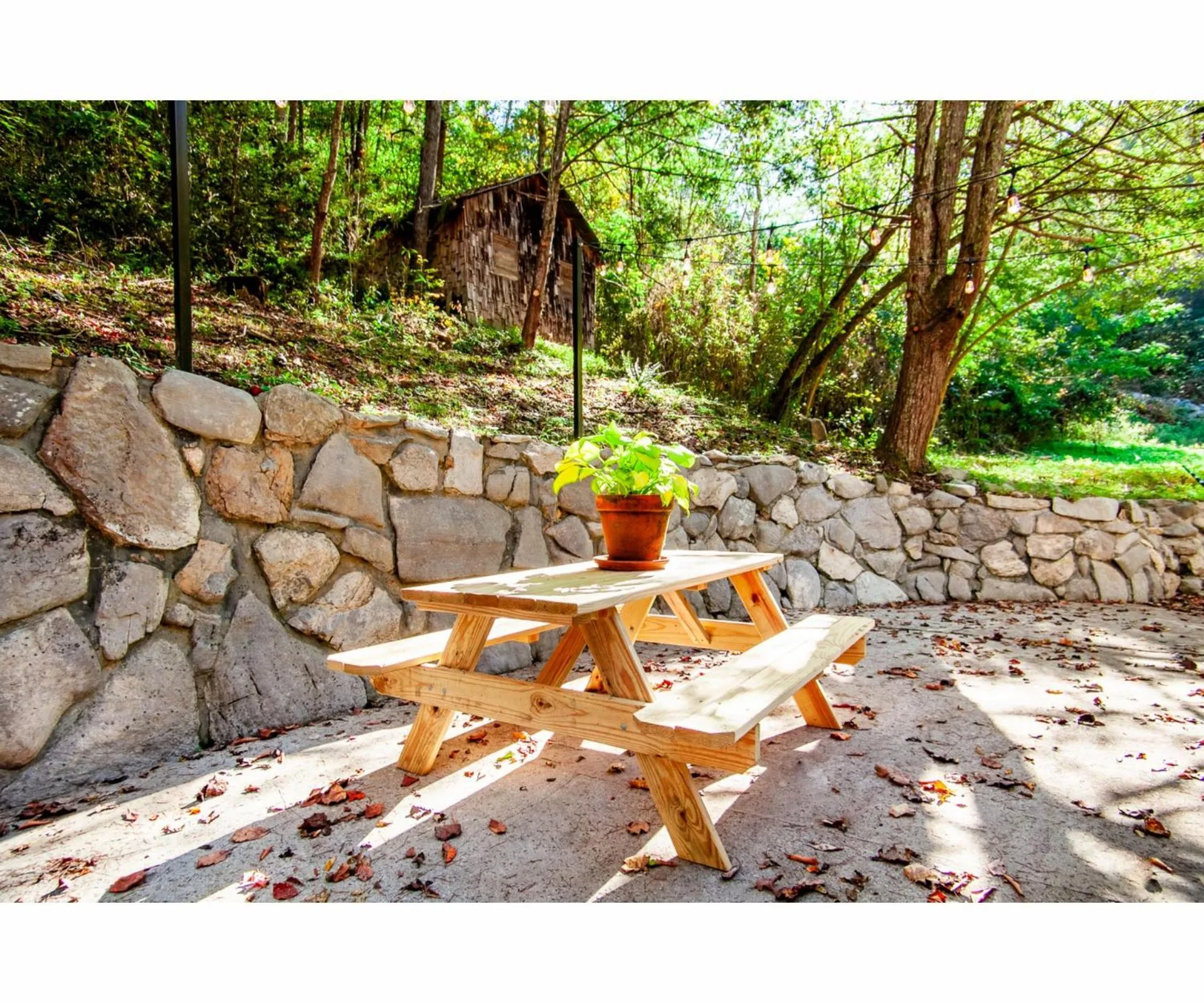 Other in Beary Relaxing Cabin - Rustic with Outdoor Patio