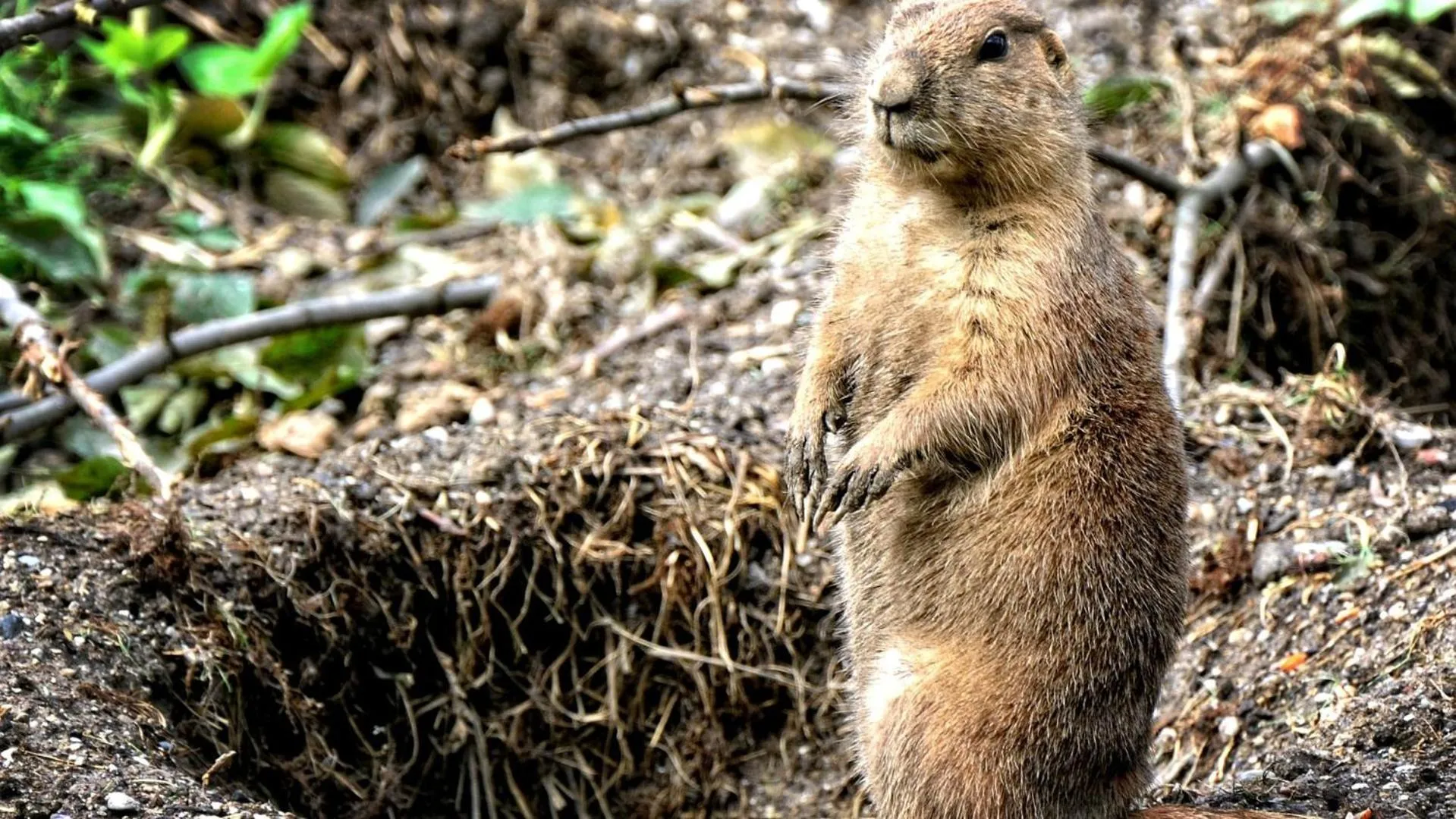 Summer in Hotel Hermitage