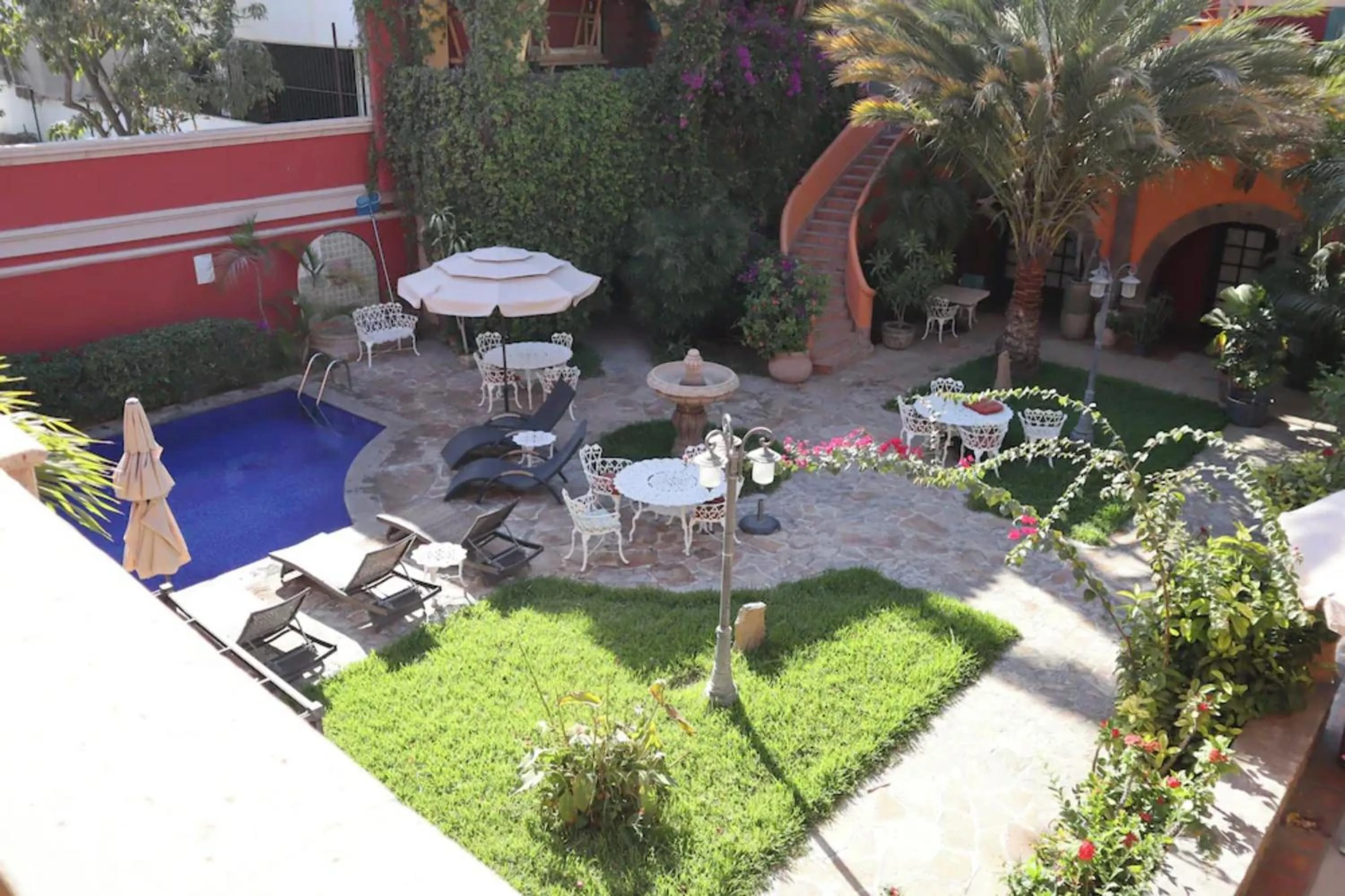 Garden view in Collection O Casa Bella Hotel Boutique, Cabo San Lucas