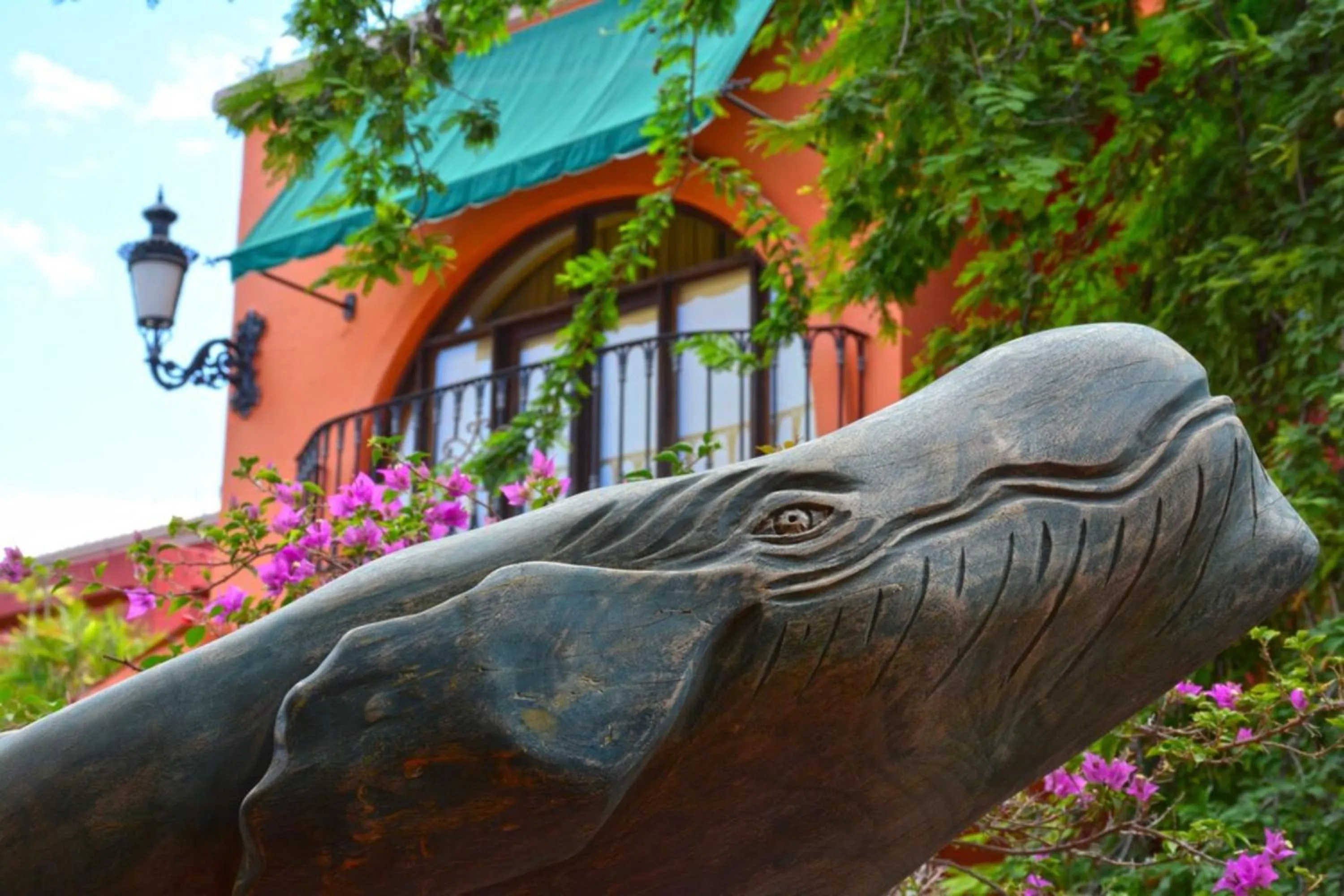 Garden in Collection O Casa Bella Hotel Boutique, Cabo San Lucas