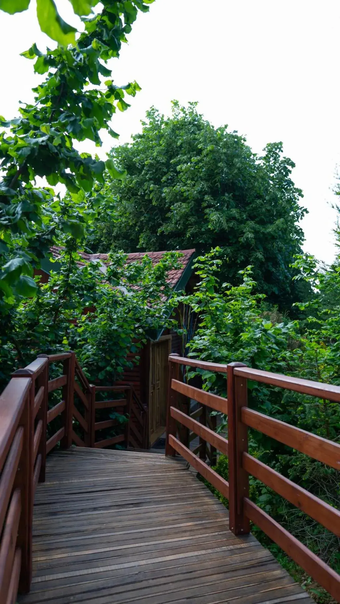 Superior Chalet in The Canyon Kartepe and Restoran Superior Chalet in The Canyon Kartepe and Restoran