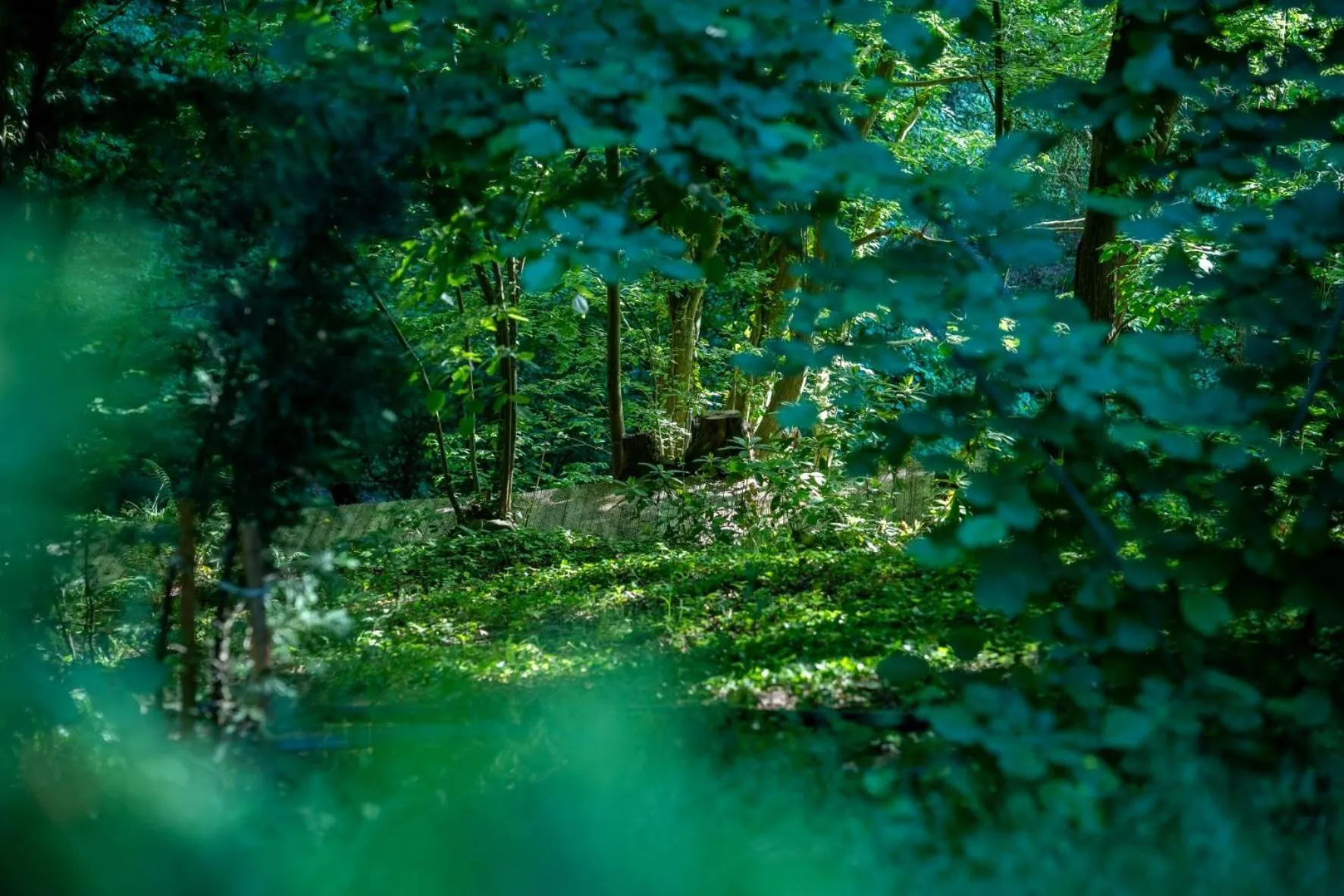 The Canyon Kartepe and Restoran