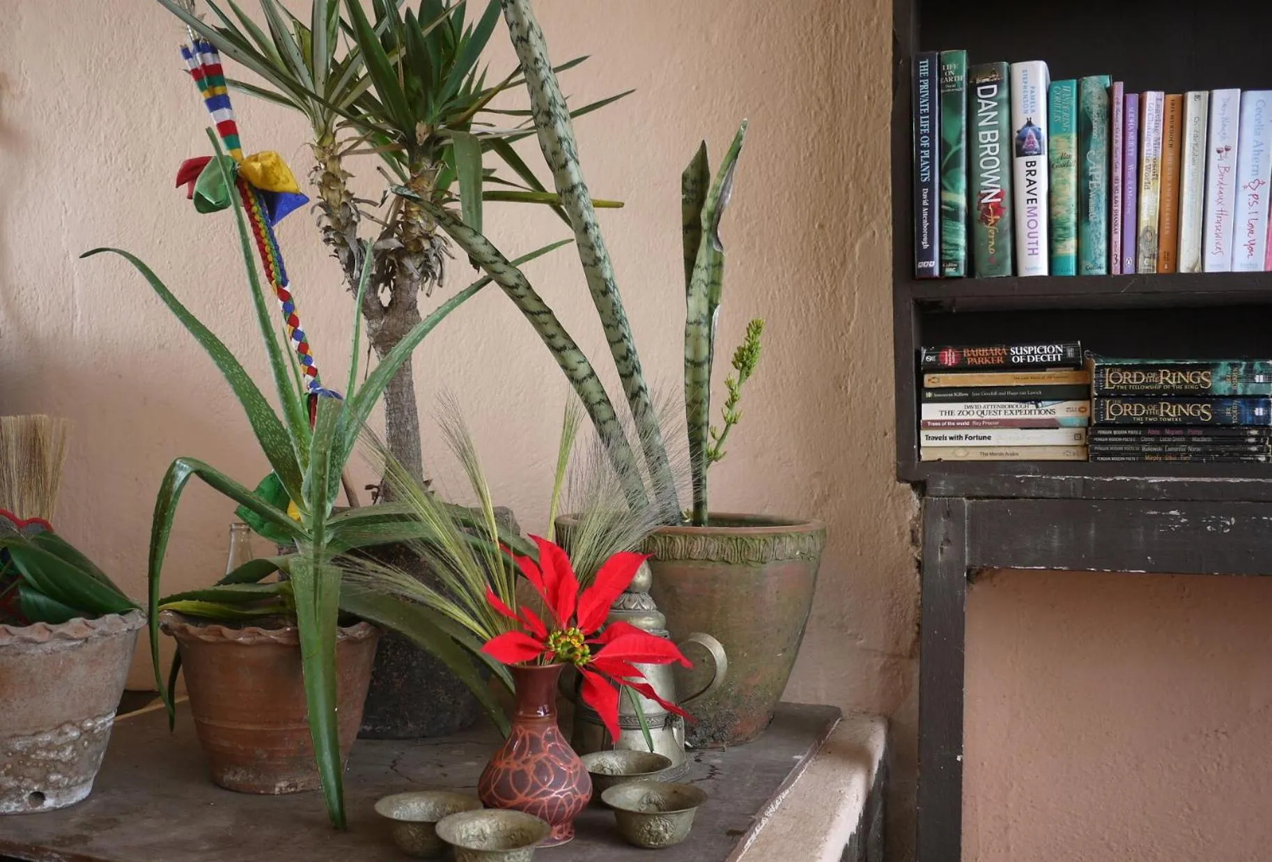 Library in Peace Dragon Lodge