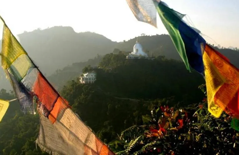 Day in Peace Dragon Lodge