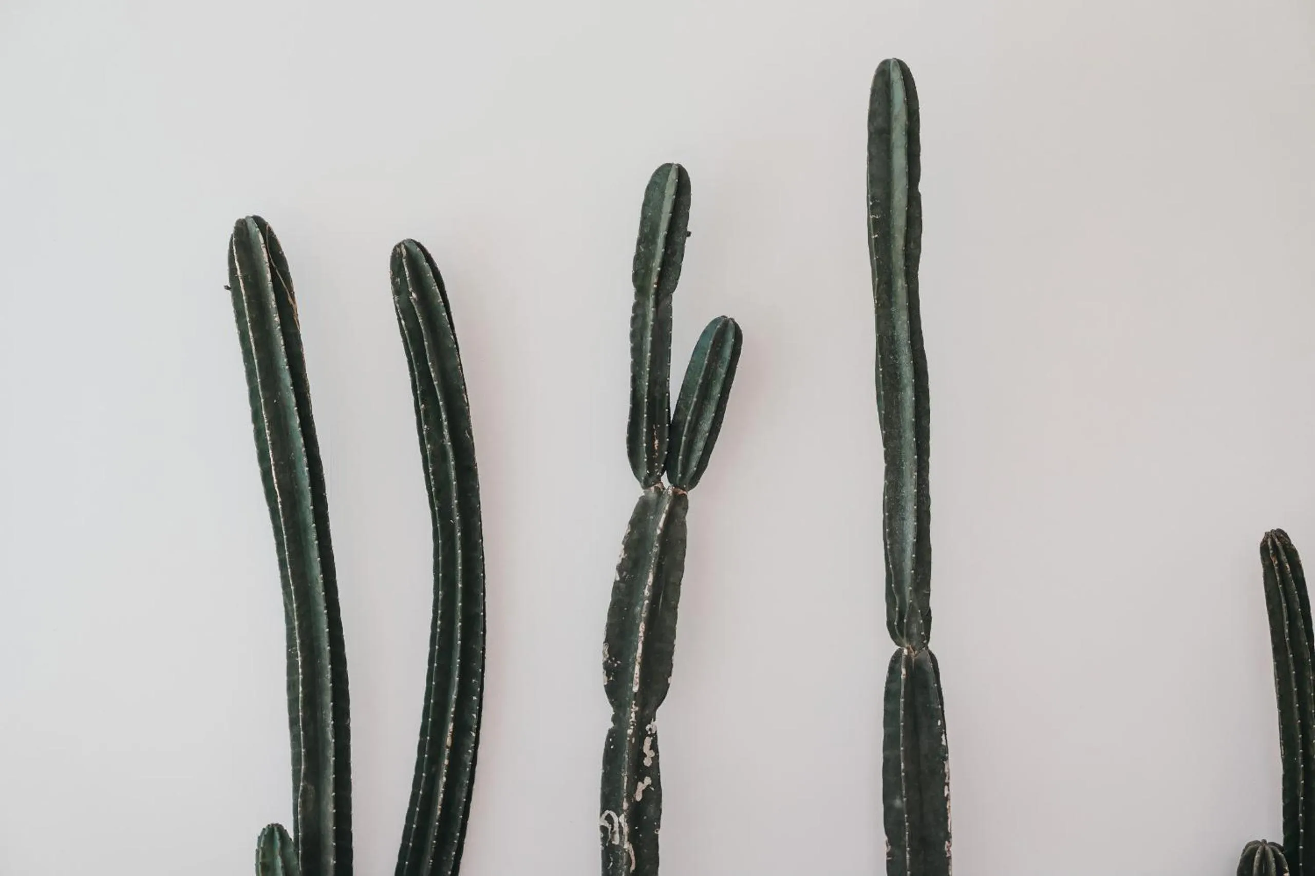 Canggu Village Accommodation