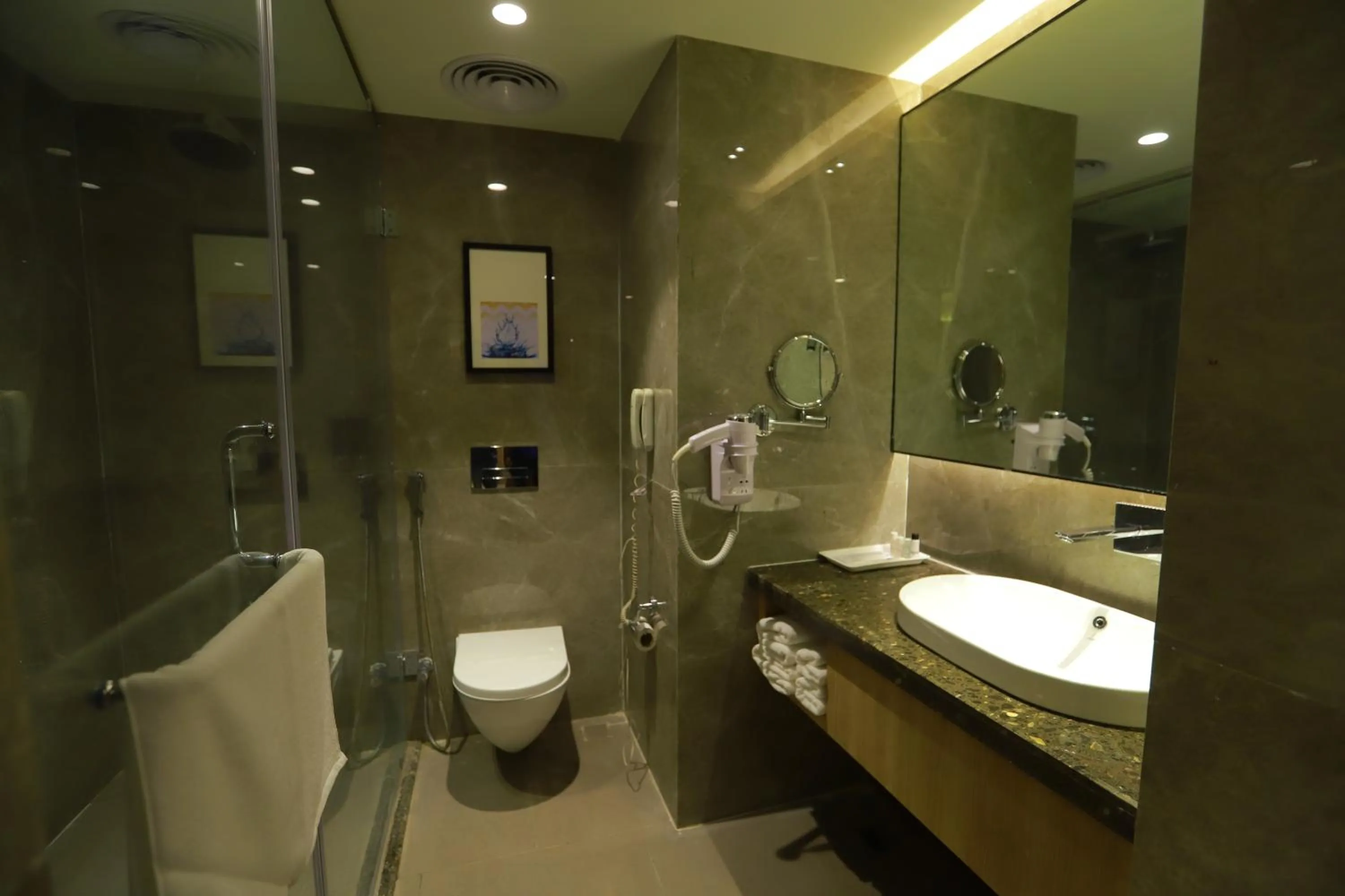 Bathroom in Grand Sarovar Portico, Latur