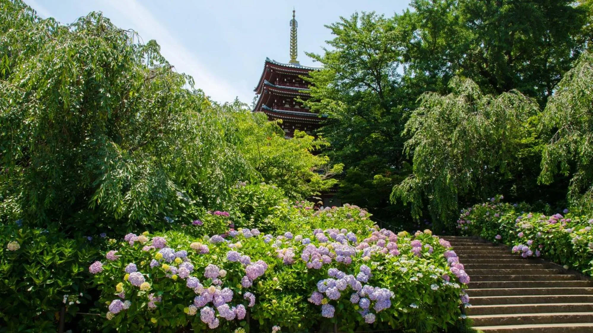 Nearby landmark in Toyoko Inn Matsudo eki Higashi guchi