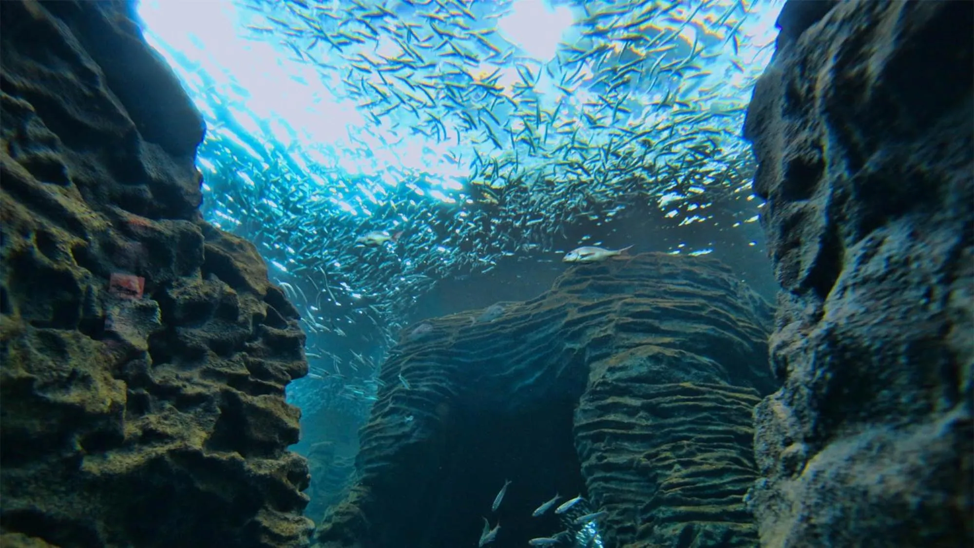 Nearby landmark in Toyoko Inn Joetsu myoko eki Nishi guchi