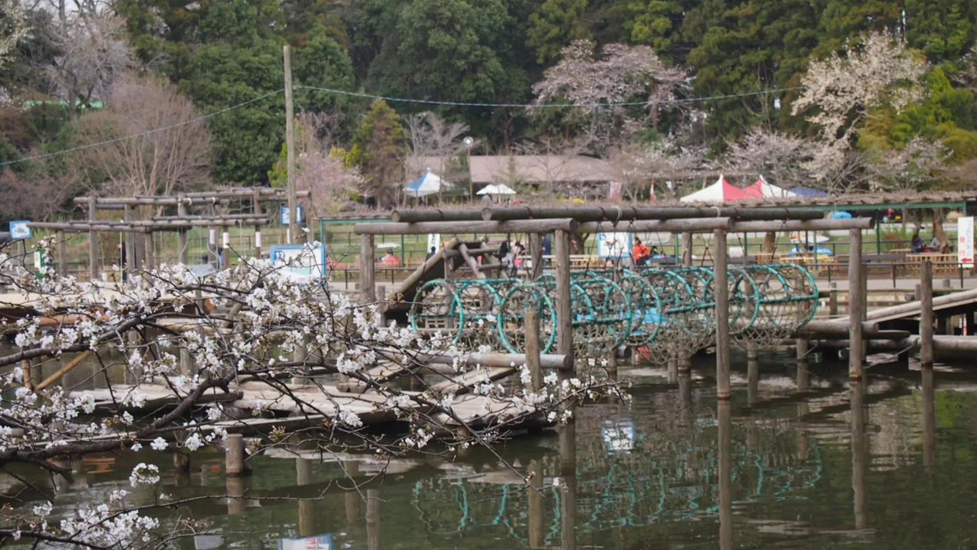 Nearby landmark in Toyoko Inn Kashiwa eki Nishi guchi