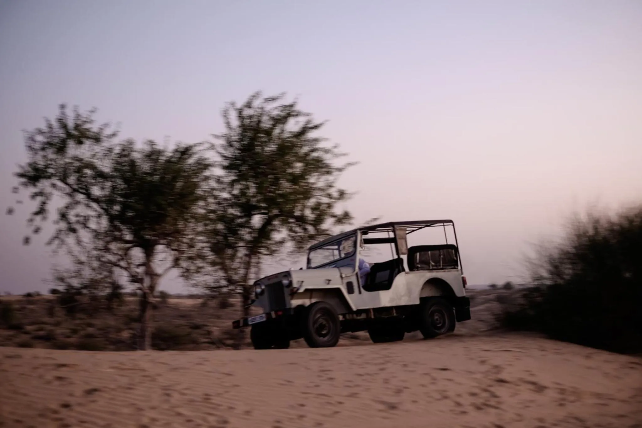 Entertainment in Kaner Retreat - India's First Desert Botanical Resort
