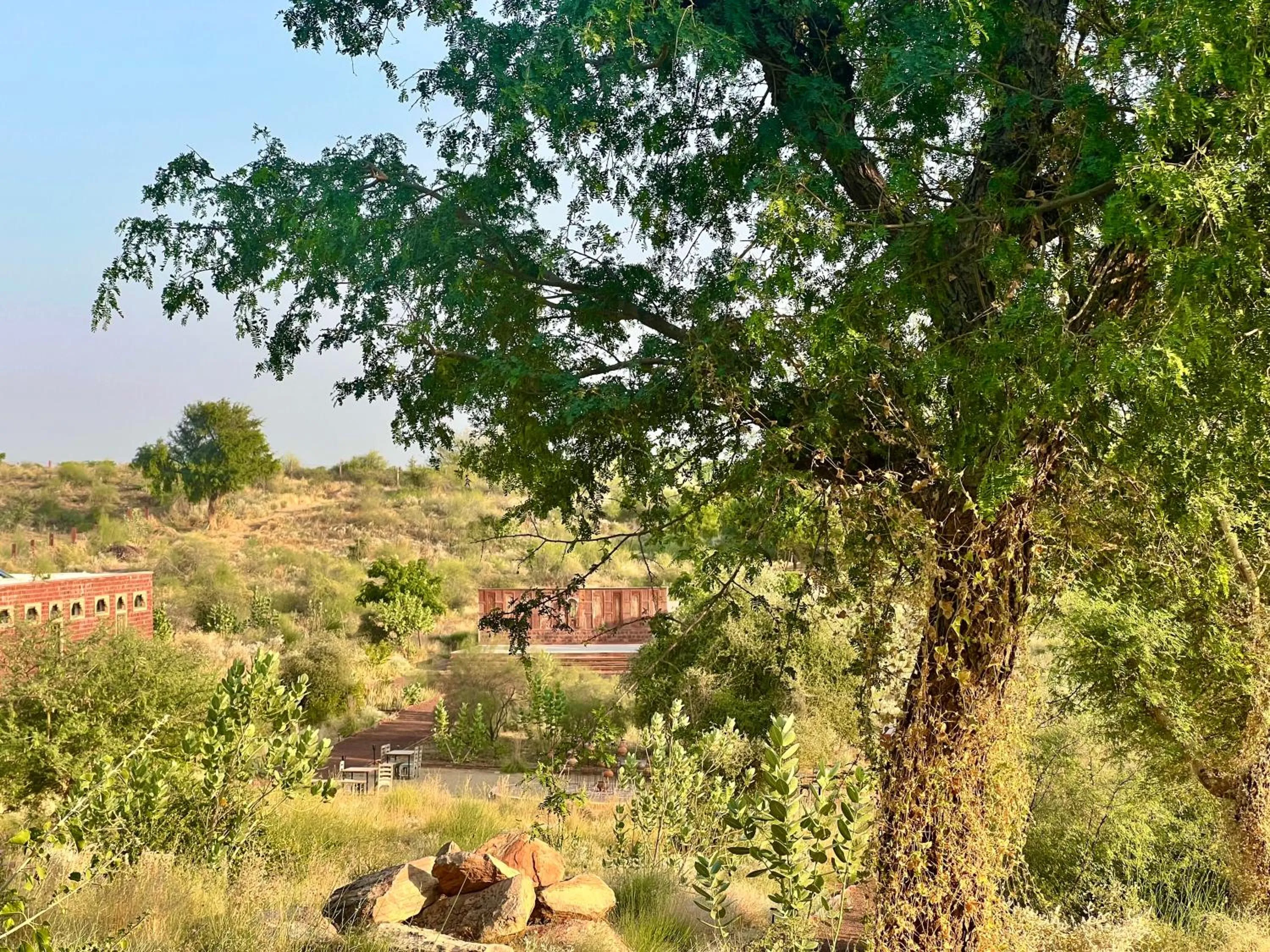 Day in Kaner Retreat - India's First Desert Botanical Resort